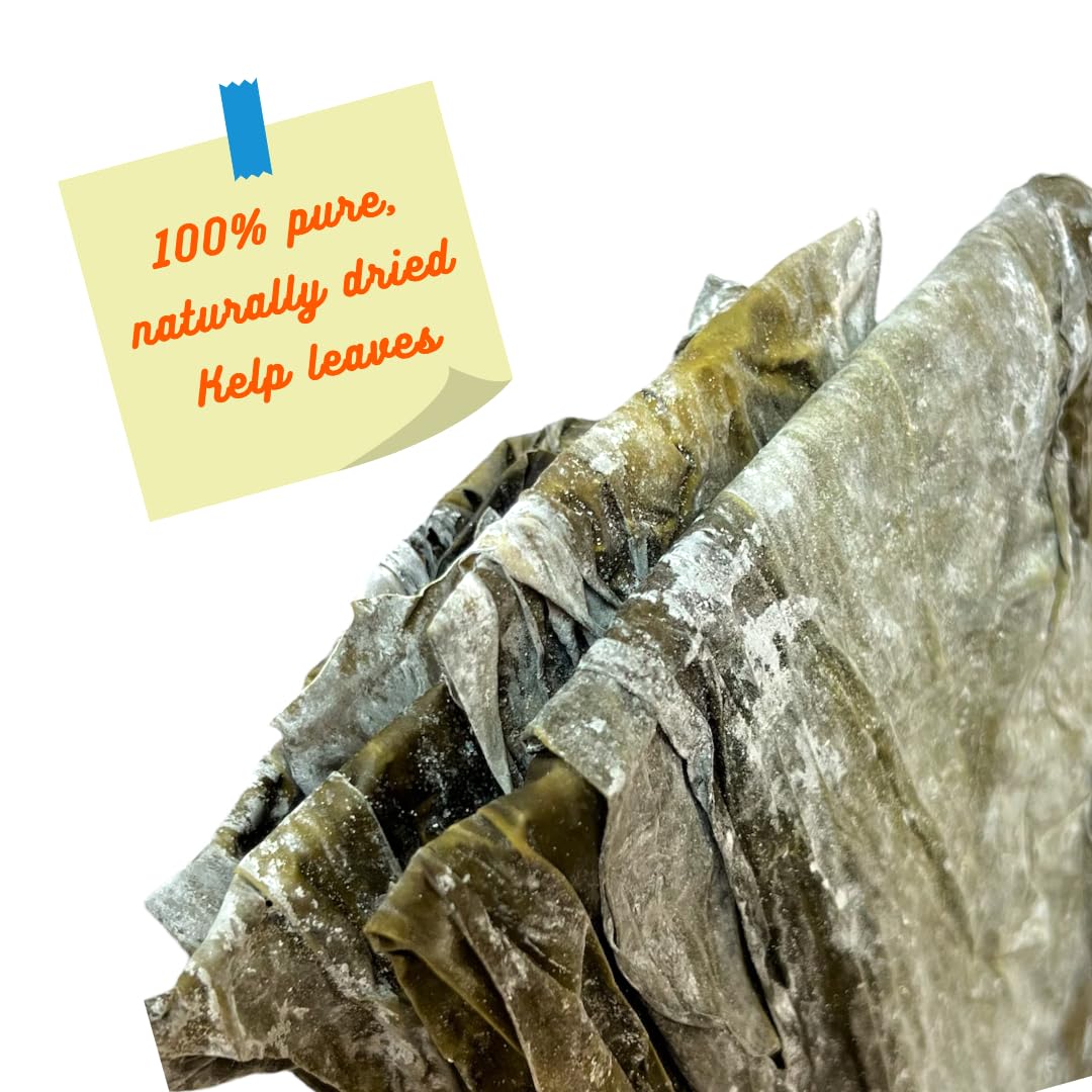 Kelpatch Dried Seaweed Leaves for Body Wraps, Cellulite Reduction, Skin Tightening & Toning, Relaxation & Stress Relief – Ideal for Spa & Home Use. Includes Bonus Kelp Body Cream. Made in USA