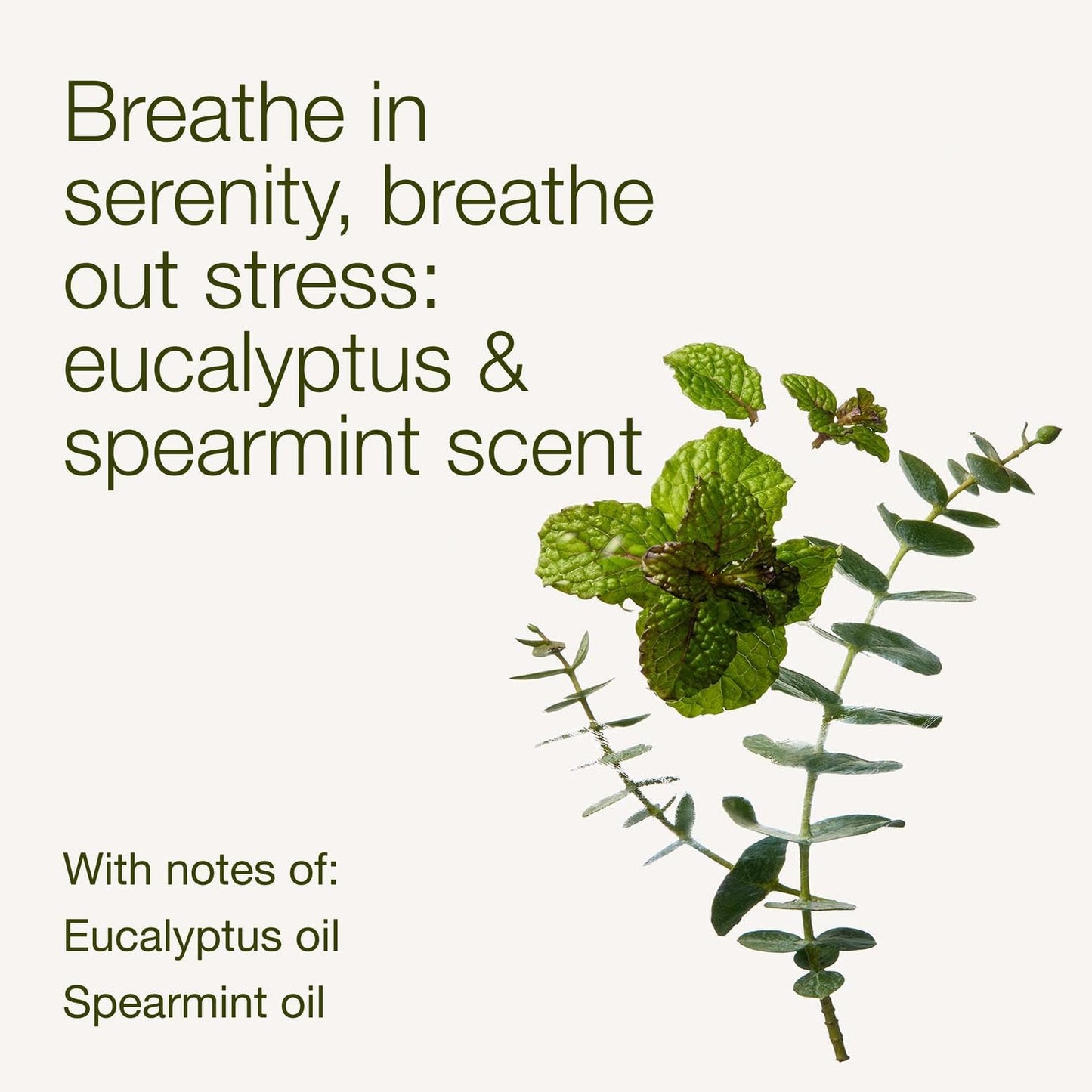 Bath & Body Works Wallflowers Refills, Eucalyptus Spearmint Scent, Plug-In Air Freshener Refills for Bedrooms, Bathrooms & Living Spaces, 2 Pack