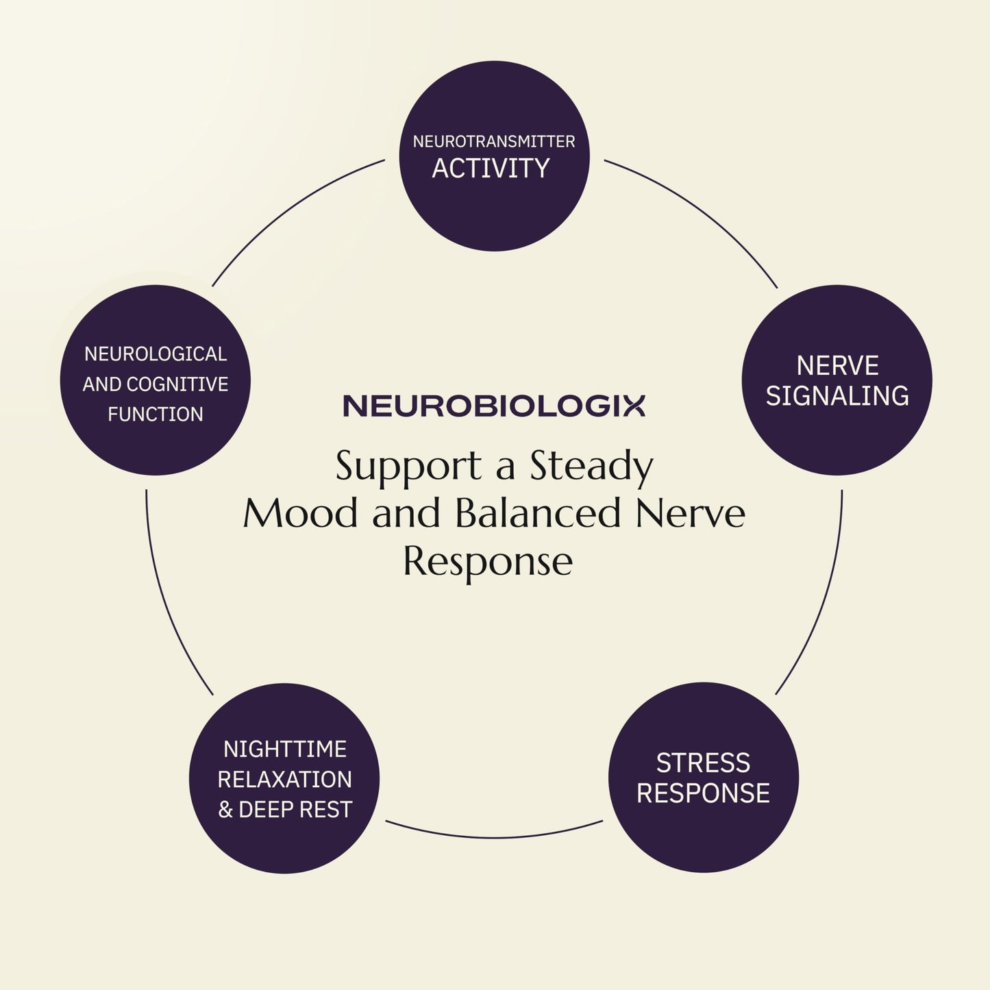 Neurobiologix Neuro Calm & Rebalance, L Theanine, Magnesium, Zinc & Kava Kava Complex for Calm Mood Balance and Stress Support, GABA Activity Support Supplement, Gluten Free, Vegetarian, 60 Capsules