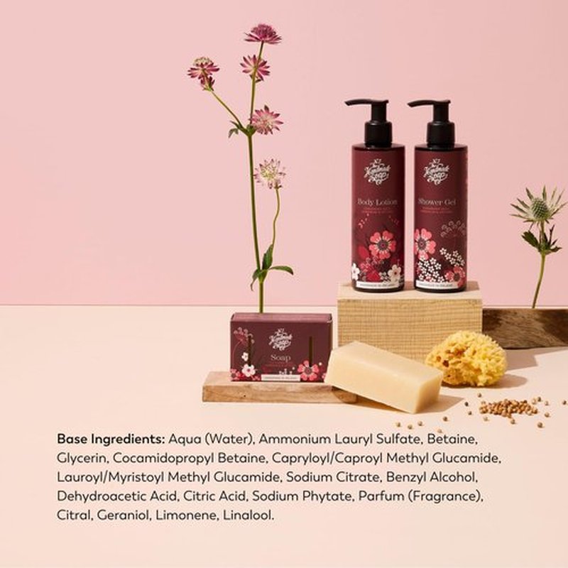 The Handmade Soap Company Shower Gel, Coriander Seed, Geranium, & Vetiver Body Wash, Liquid Bath Soap, Moisturizing Body Wash, Cruelty Free & Vegan Shower Gel, 8.5fl oz