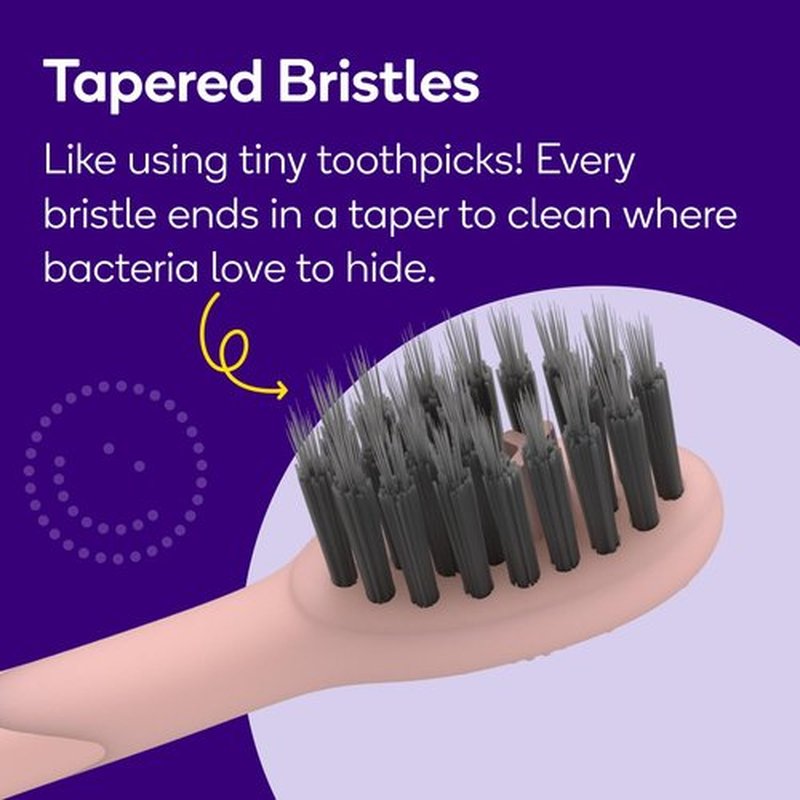 BURST Pro Sonic Toothbrush Heads - Genuine BURST Pro Electric Toothbrush Replacement Heads - Soft Bristles for Deep Clean, Stain & Plaque Removal - 3-Pack Rose Gold