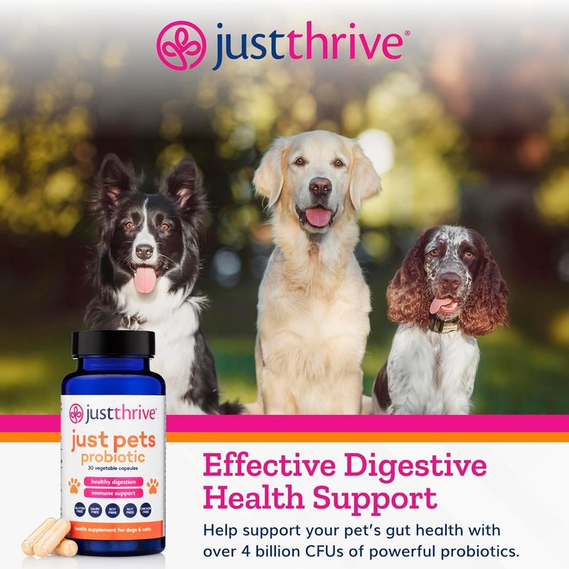 Just Pets Probiotic - Daily Digestive Probiotics for Dogs & Cats | 30 Capsules with 4 Billion CFUs