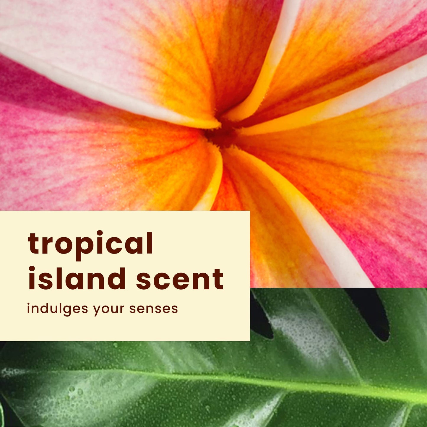 Hawaiian Tropic Matte Effect Sunscreen Lotion, SPF 30, 6 ounce
