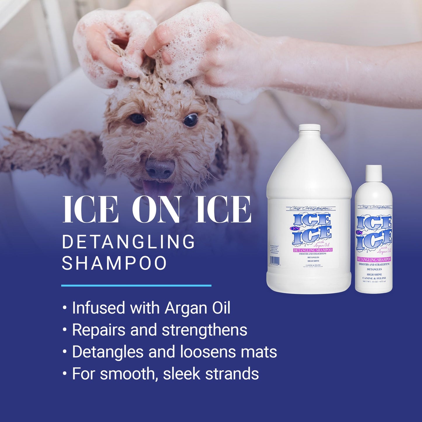 Chris Christensen Ice on Ice Strengthening Dog Shampoo, Groom Like Professional, Revives Dry, Damaged Coats & Strands, All Coat Types Made in USA 16oz