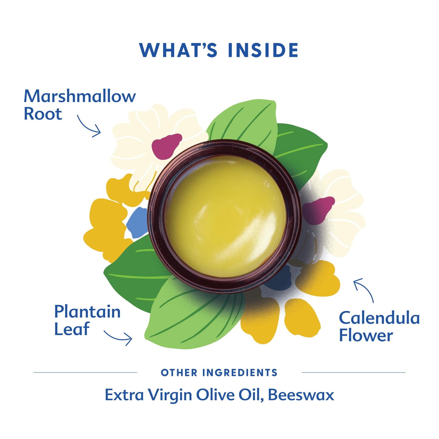 Motherlove Green Salve (1 oz) Family-Friendly Outdoor Adventure Ointment to Soothe Skin - USDA Organic