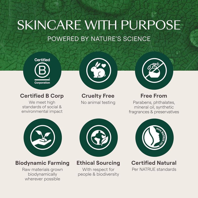 Weleda Skin Food Night Cream - Nourishing Plant-Based Moisturizer with Sacha Inchi Oil & Cica | 1.3 Fl Oz