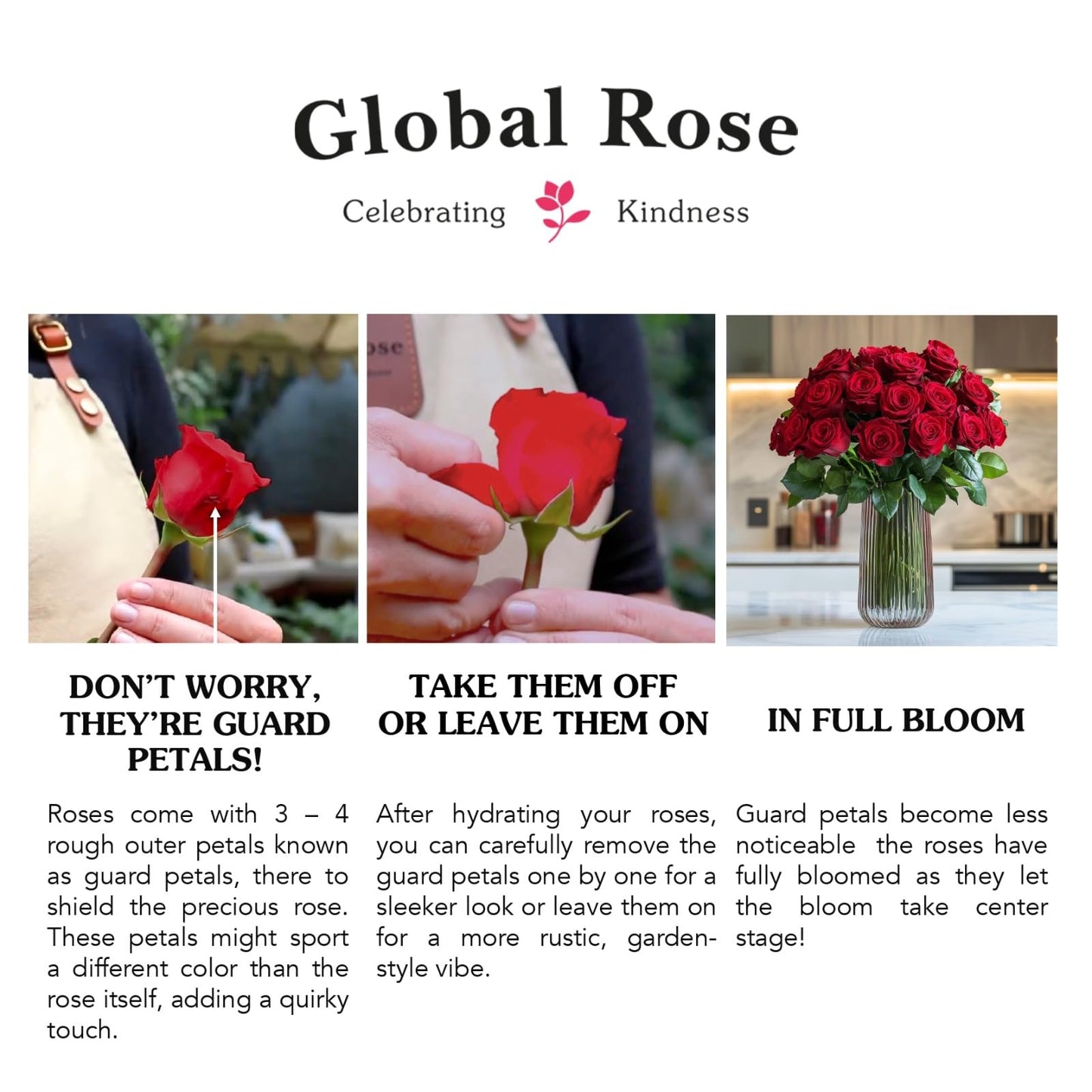 GlobalRose 75 Red Roses Bouquet - Responsibly Sourced Roses Fresh Flowers - Hand-Picked Flowers Fresh Bouquet for Valentine's Day, Birthday & Special Occasions (3 Bunches of 25 Stems)