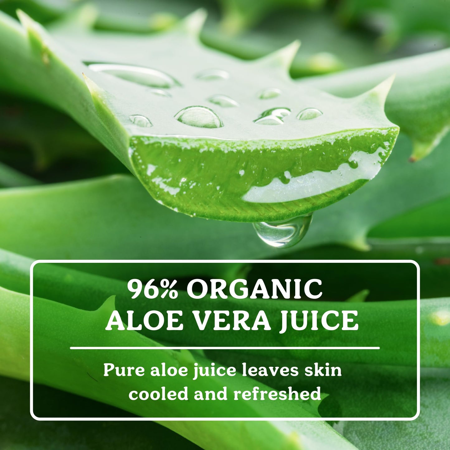 Badger - Aloe Vera Gel
