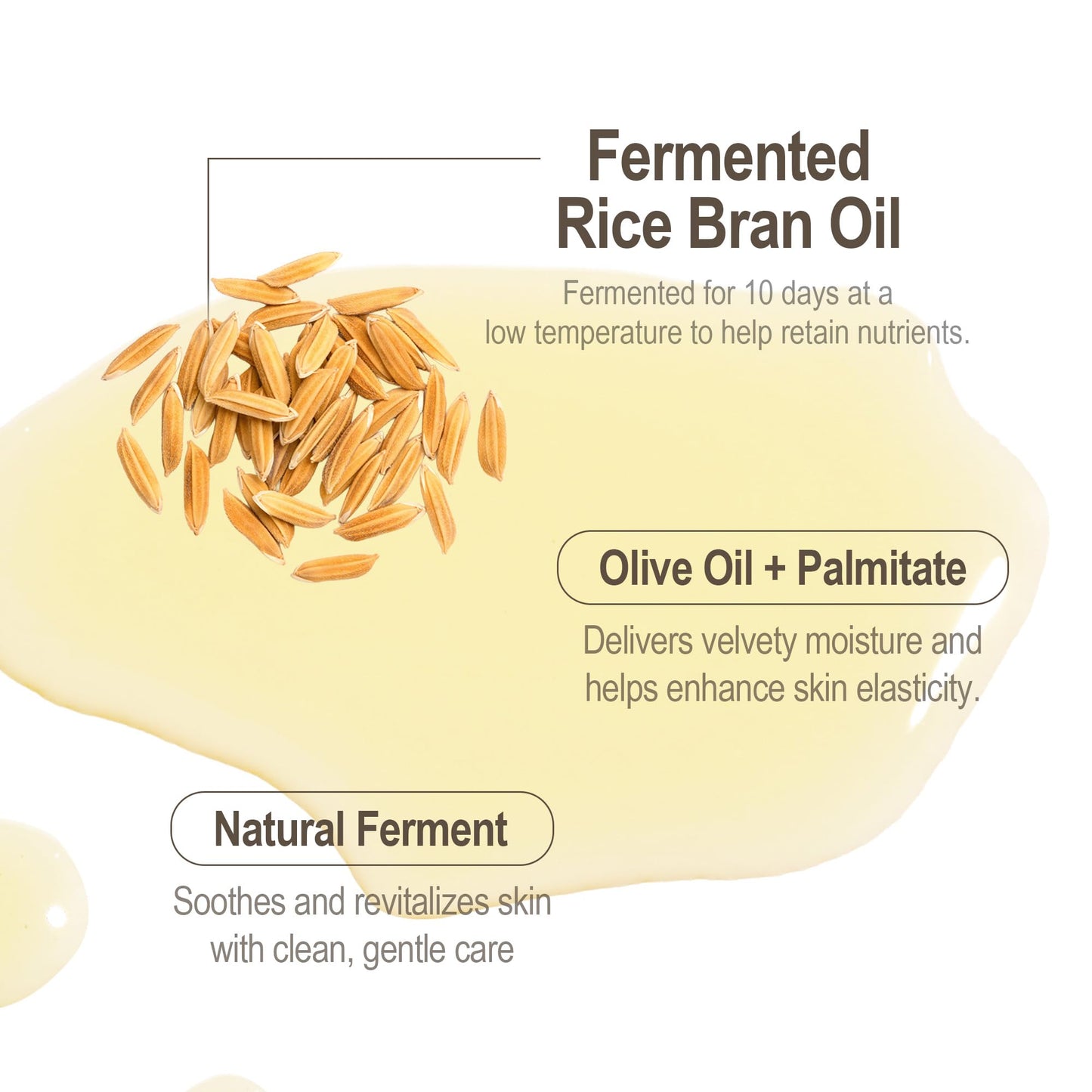 HAYEJIN Rice Bran Oil for Body | Moisturizing For Men & Women | Hydrating Body Oil w/Fermented Rice Bran Oil for Skin | Refreshing Body Oil for Dry Skin 6.76 Fl Oz