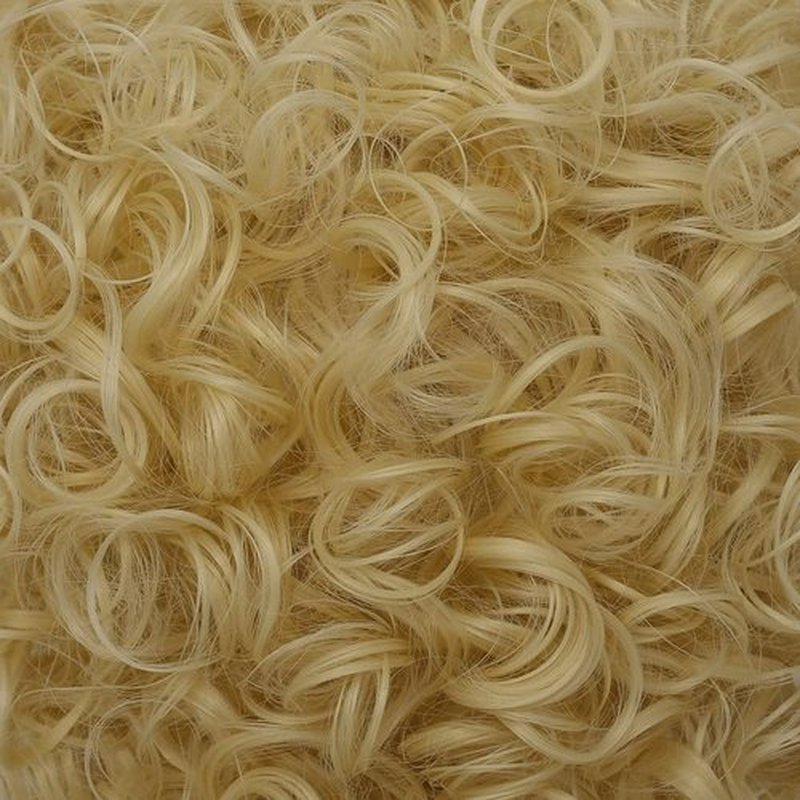 Dai Cloud Mens Curly Light Blonde Afro Wig Short Fluffy Rocker Wigs Cosplay Costume Daily Hair Wig for Male Guys