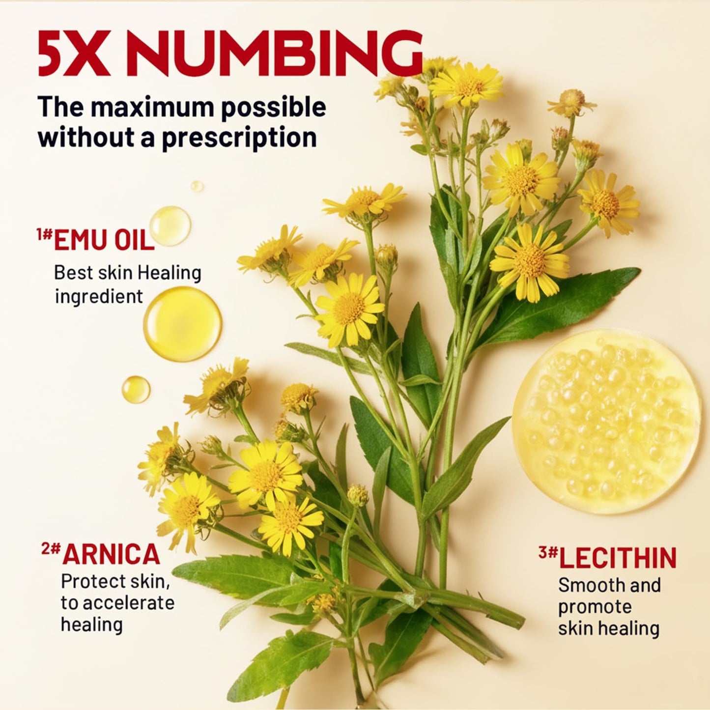 Acolye Numbing Cream Maximum Strength: 5% Lidocaine Local Anesthetic- Long Lasting Extra Relief with Menthol Arnica and Emu Oil (2 Fl Oz)