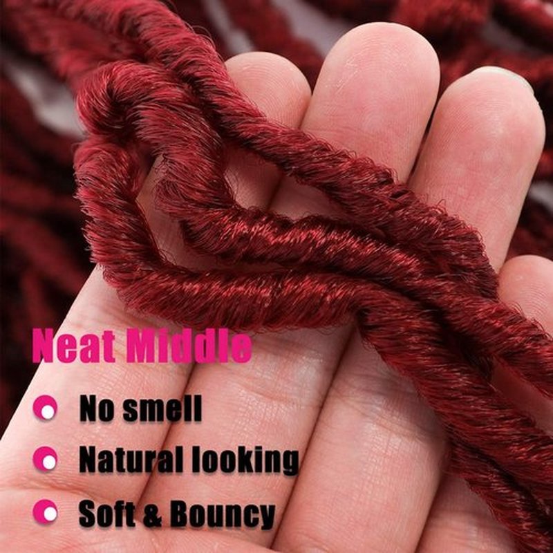 24Inch Soft Locs Crochet Hair 2 Packs Faux Locs Crochet Hair (24 Inch (Pack of 2), Bug) …