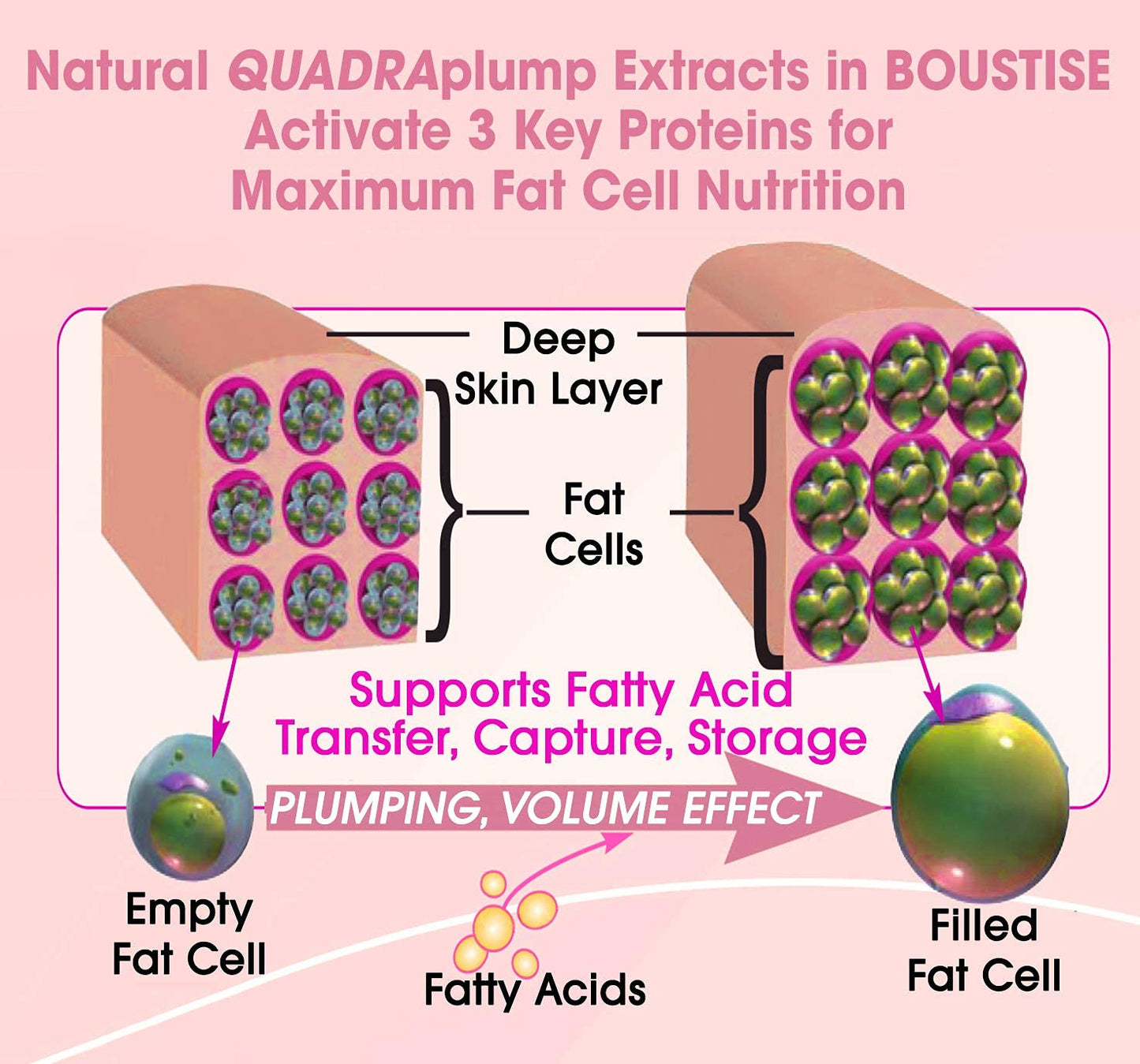Breast Enhancement Cream - Natural Growth Serum - Tighten Firm & Lift Bust - Enlargement Augmentation Lotion Concentrate - QuadraPLUMP, Volufiline,12+ Lab Proven Actives - BOUSTISE 80ml