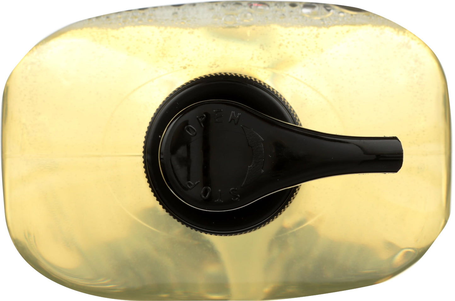 A LA MAISON Fig & Basil Natural Hand Wash Made with Essential Oils - Biodegradable, Plant-Based, Vegan, Cruelty-Free (16.9 Fl Oz Bottle)