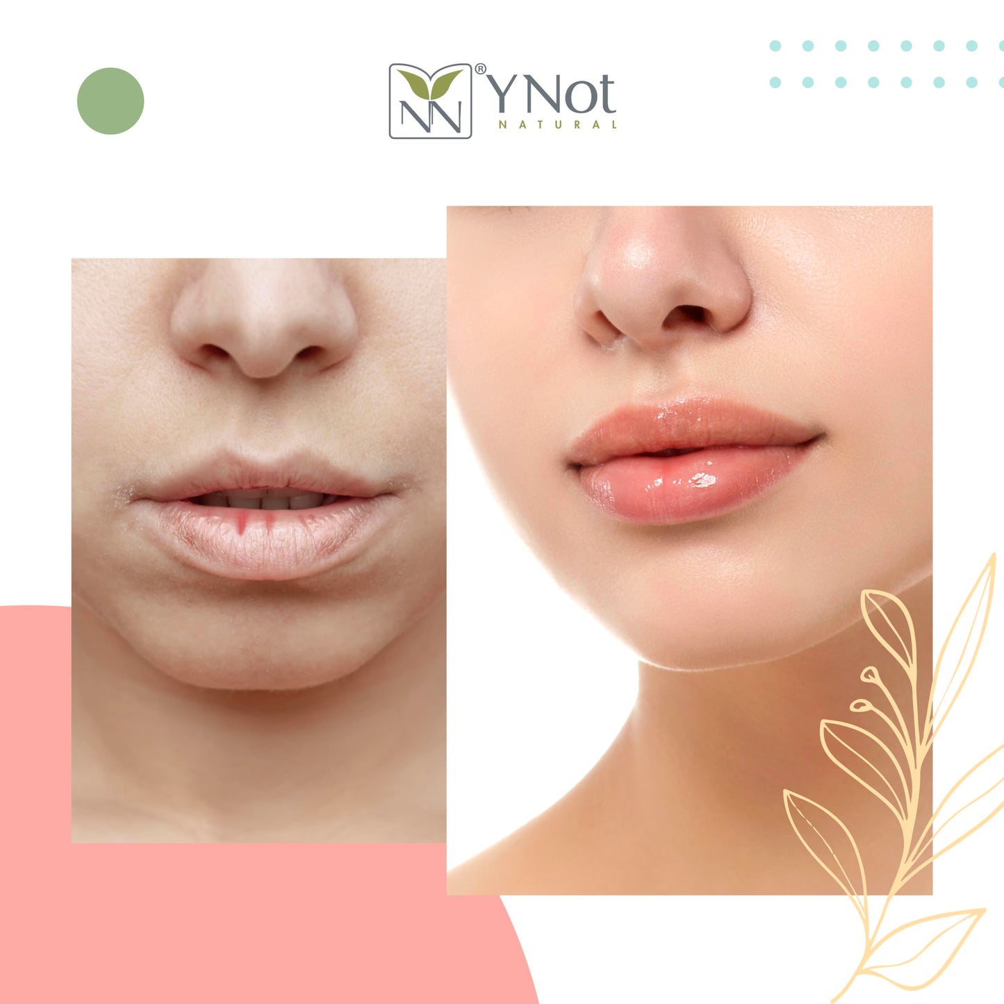YNN Emu Oil Moisturizing Lip Balm with Extreme SPF50+ Sun Protection - 4-Hour Water Resistant, Fortified with Vitamin E, Amino Acids & Omega 3, 6 & 9 - Y-Not Natural, 15g Stick - 2 Pack
