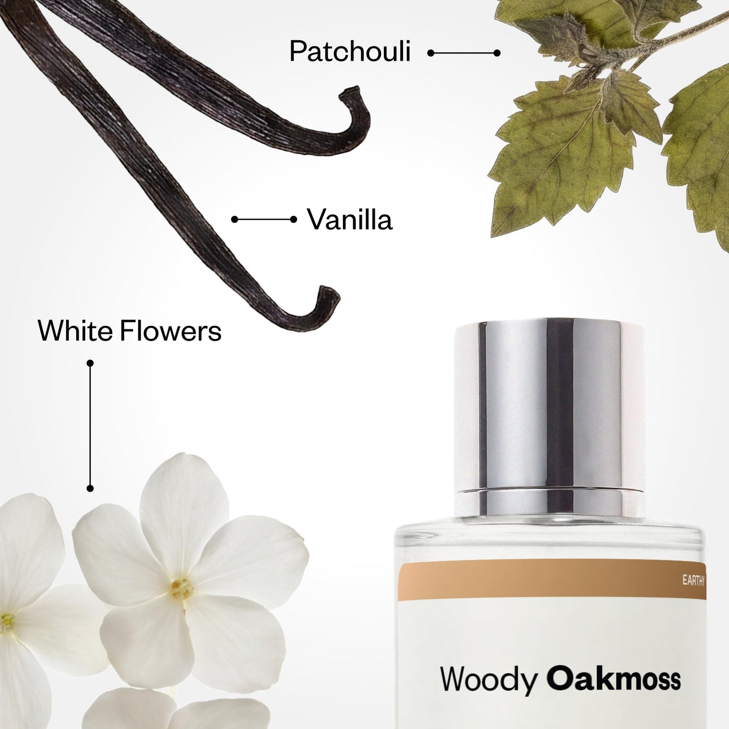 Dossier - Woody Oakmoss - Eau de Parfum - Inspired by Coco Mademoiselle - Long-Lasting Fragrance - Feminine - 1.7 fl oz (50ml)