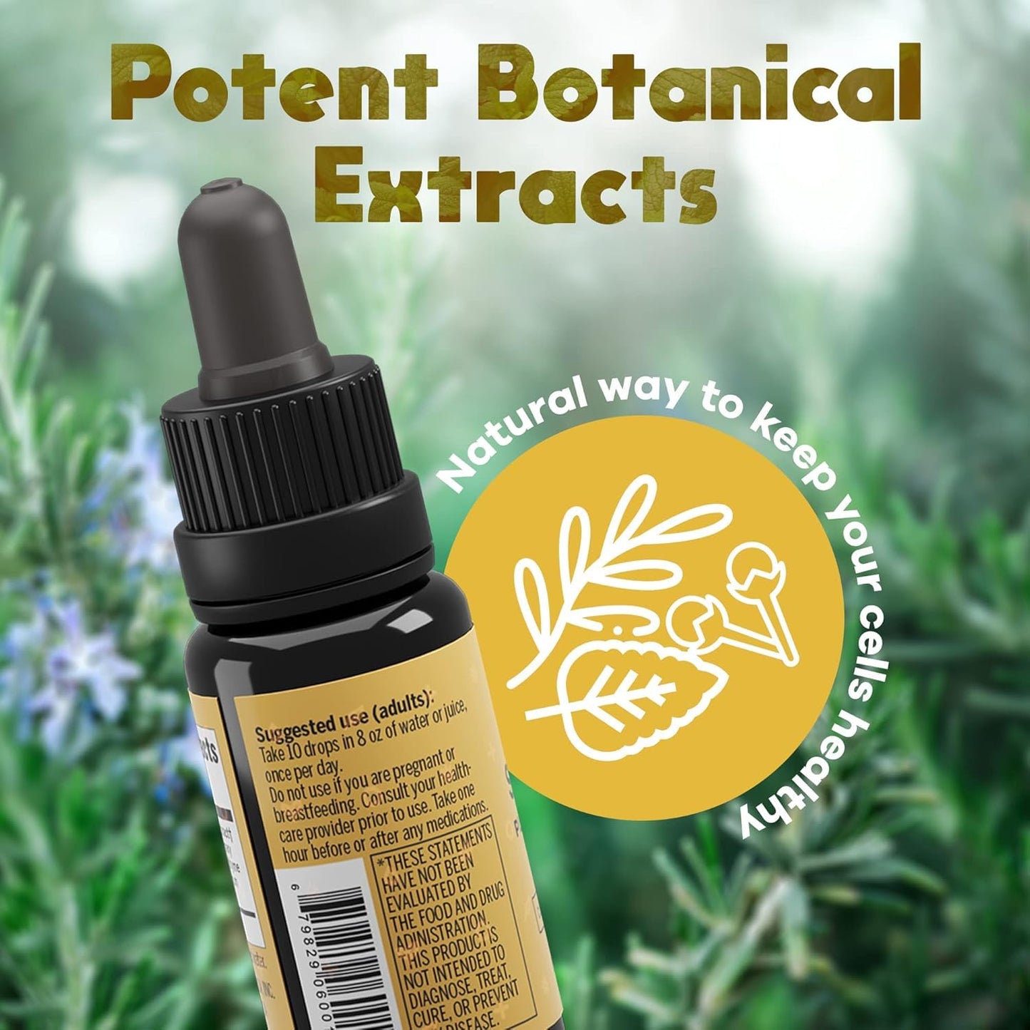 Activation Solaris Essential Oil, 15 ml | Thyme, Peppermint & Rosemary