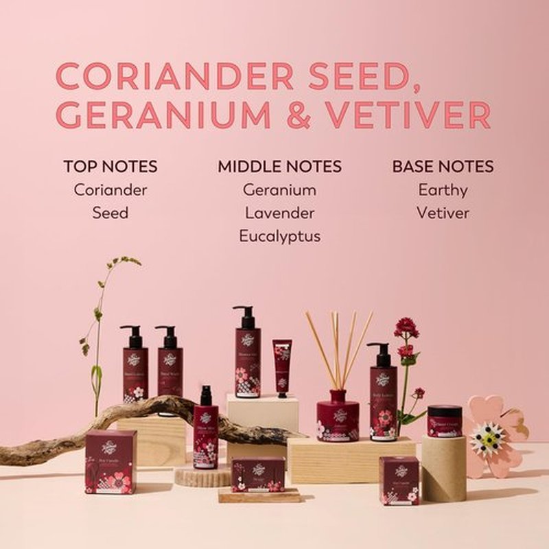 The Handmade Soap Company Shower Gel, Coriander Seed, Geranium, & Vetiver Body Wash, Liquid Bath Soap, Moisturizing Body Wash, Cruelty Free & Vegan Shower Gel, 8.5fl oz