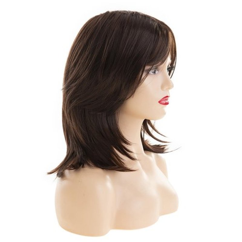 Dsimeig Layered Brown Wigs for Women Shoulder Length Straight Wig with Bangs Natural Synthetic Cosplay Replacement Hair Wig