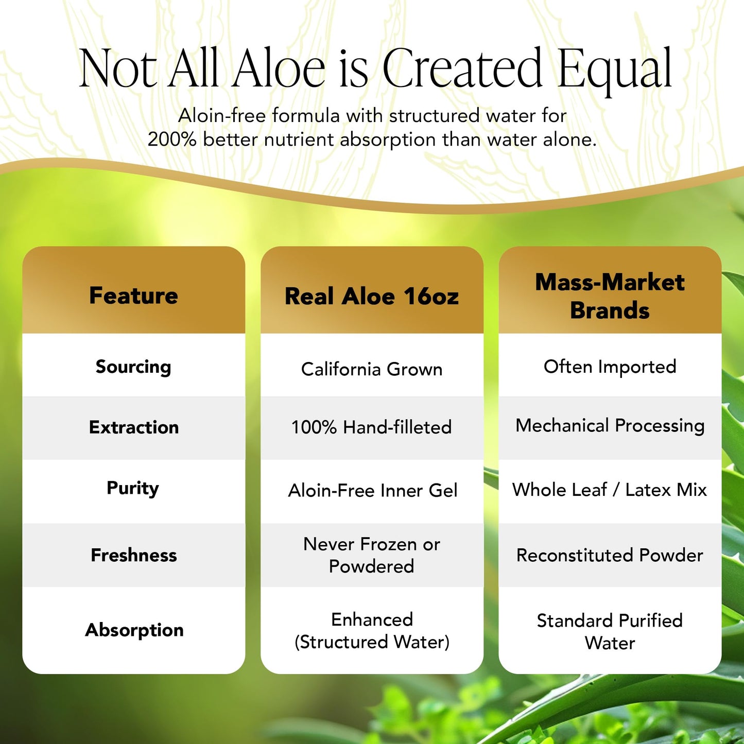 Real Aloe Vera Conditioner (16 fl oz) | Organic Aloe & Argan Oil | Sulfate, Paraben & Phenoxyethanol Free | Lightweight, Gentle Daily Hair & Scalp Care | Made in USA