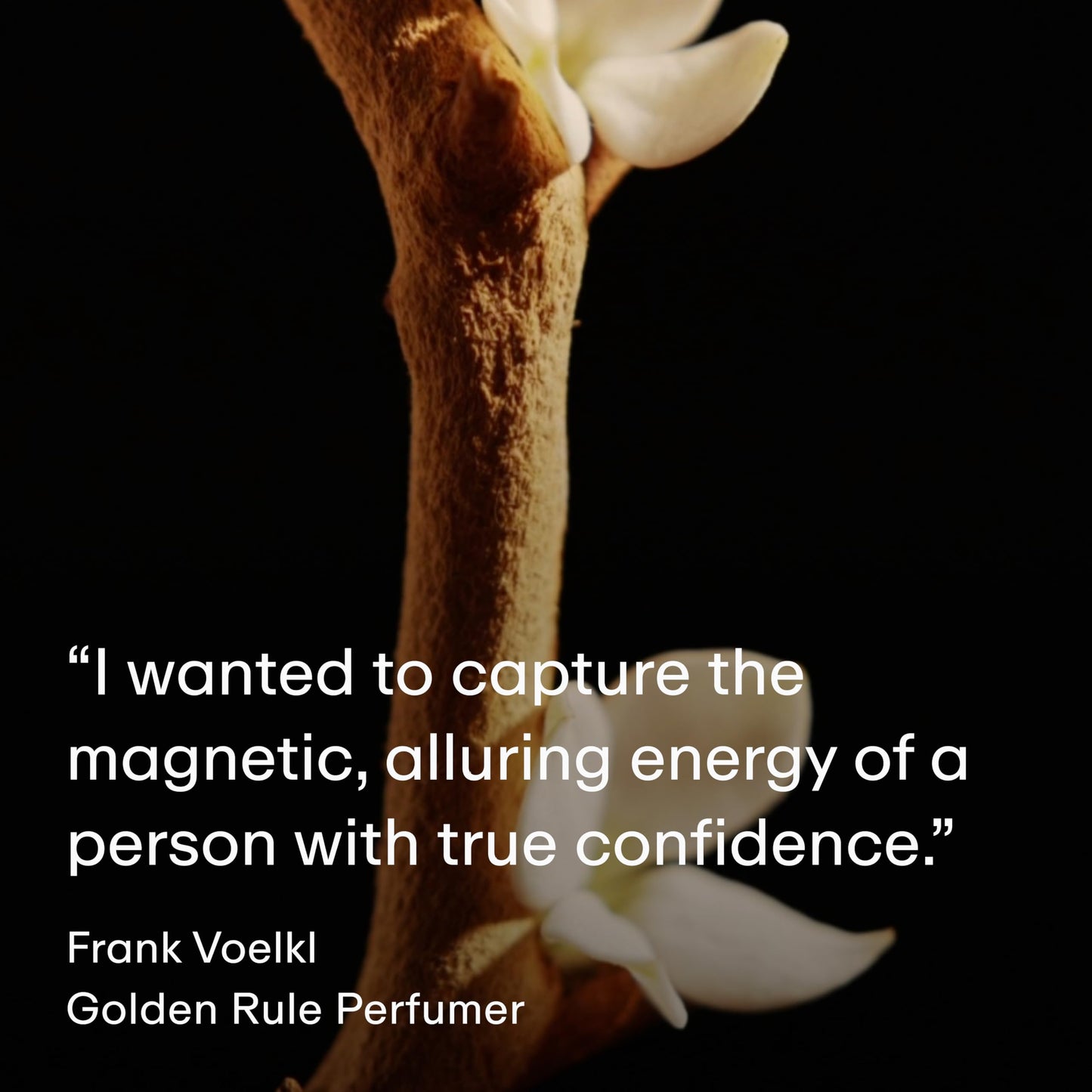 PHLUR Golden Rule Perfume for Women & Men, 50 mL – Mandarin, Pink Pepper & Vanilla Cream Eau de Parfum with Coconut Milk Amber Sandalwood Fragrance