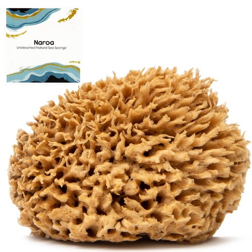 Naroa Soft Natural Sponge | Gentle Sea Sponge for Bathing Healthy Skin | Unbleached Shower Body Scrubber Puff | Eco Friendly Bath Spa Sponge (Soft - Large)