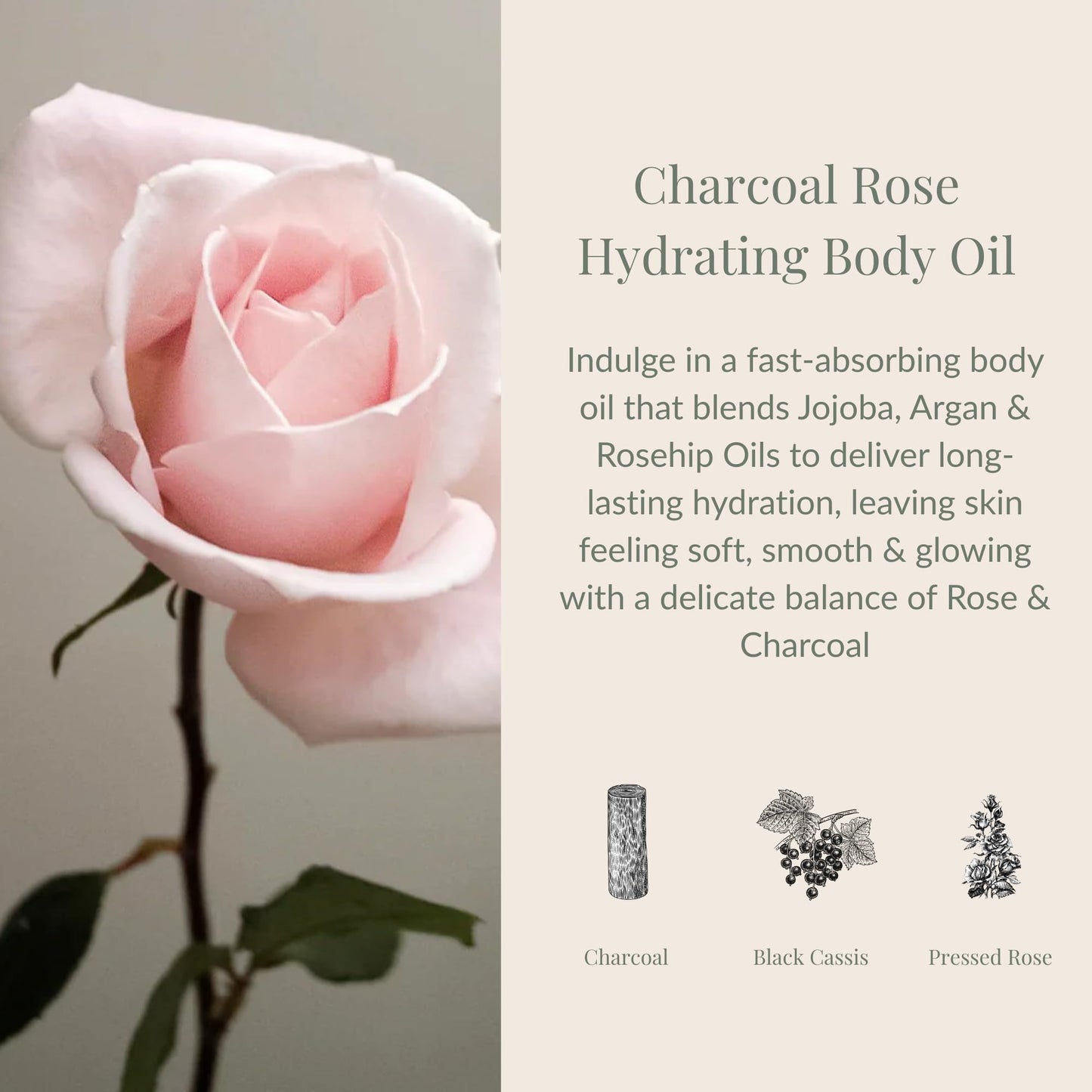 Archipelago Botanicals Charcoal Rose Hydrating Body Oil, Lightweight Jojoba, Argan & Rosehip Oils for Soft & Radiant Skin, Pressed Rose Aroma, 3.4 fl oz