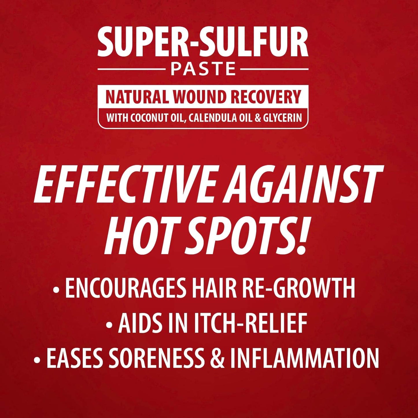Jeffers Super Sulfur Natural Healing Paste for Dogs, Cats & Horses 8 oz – Wound Care, Skin & Coat Support for Animals, Soothes Itching & Inflammation, Dry Rough Flaky Skin, Hot Spots, Paw, Hoof Care