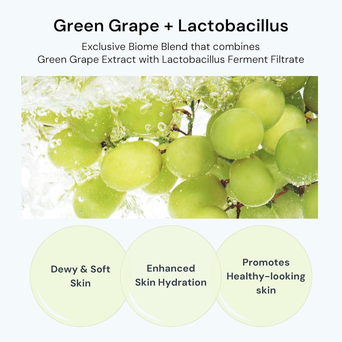 THANKYOU FARMER Grape Aqua Hyaluron Biome Cream, 10 Types Hyaluronic Acid, Non-Comedogenic, Dewy Soft Skin, Lactobacillus Ferment, Korean Moisturizer for Oily Skin 2.81 fl.oz 80ml
