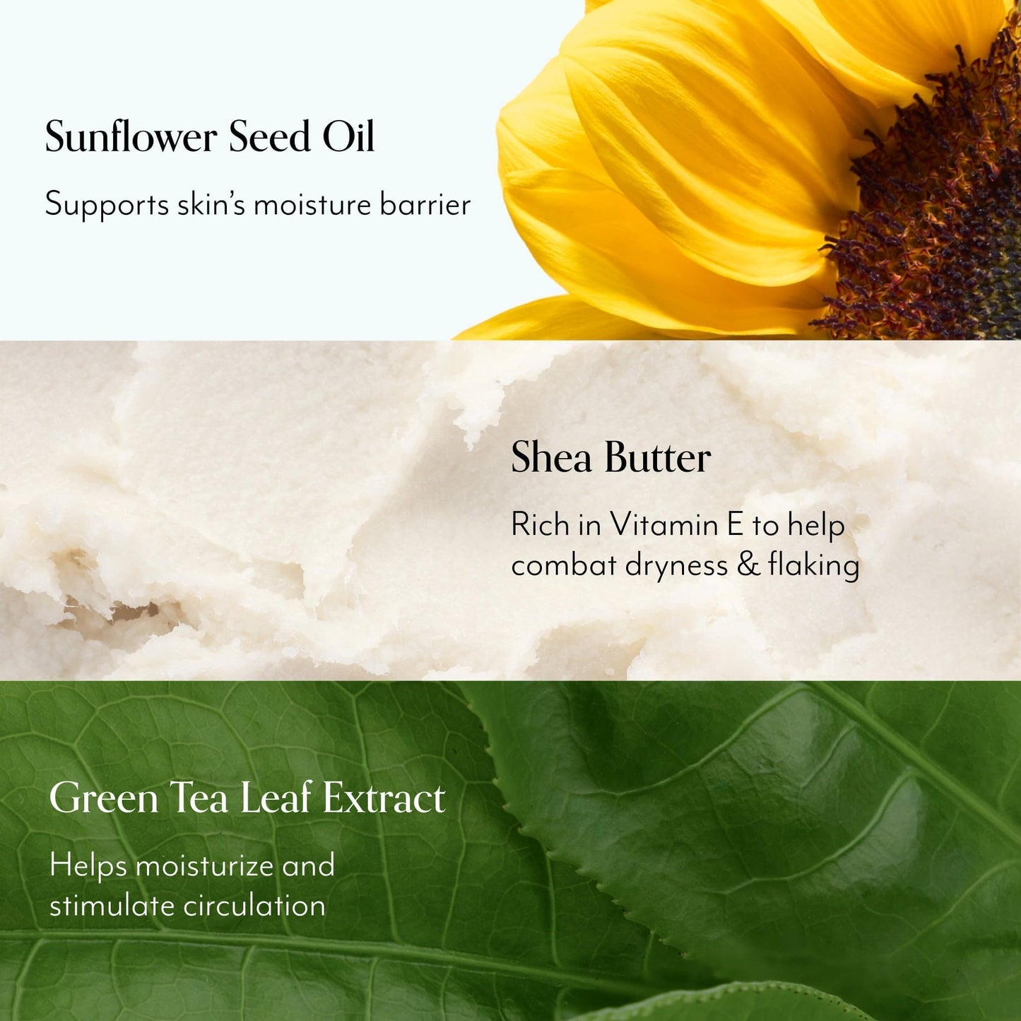 Bliss Oh, That's Rich Ultra Silky-Sheen Body Cream | Instantly Absorbs | Smooth & Soothe the Driest Skin | Paraben Free, Cruelty Free | 7.0 oz