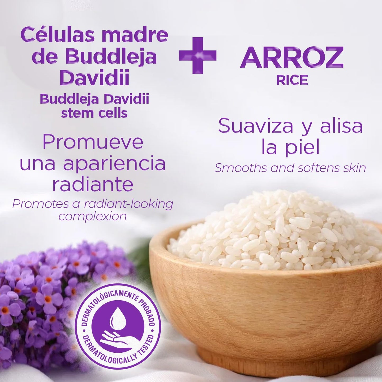 TEATRICAL Korean Facial Cream with Stem Cells and Rice, Face Moisturizer for Women, Korean Skincare Moisturizer for Hydration and Even Tone, Paraben-Free Non-Greasy Formula, 7 oz