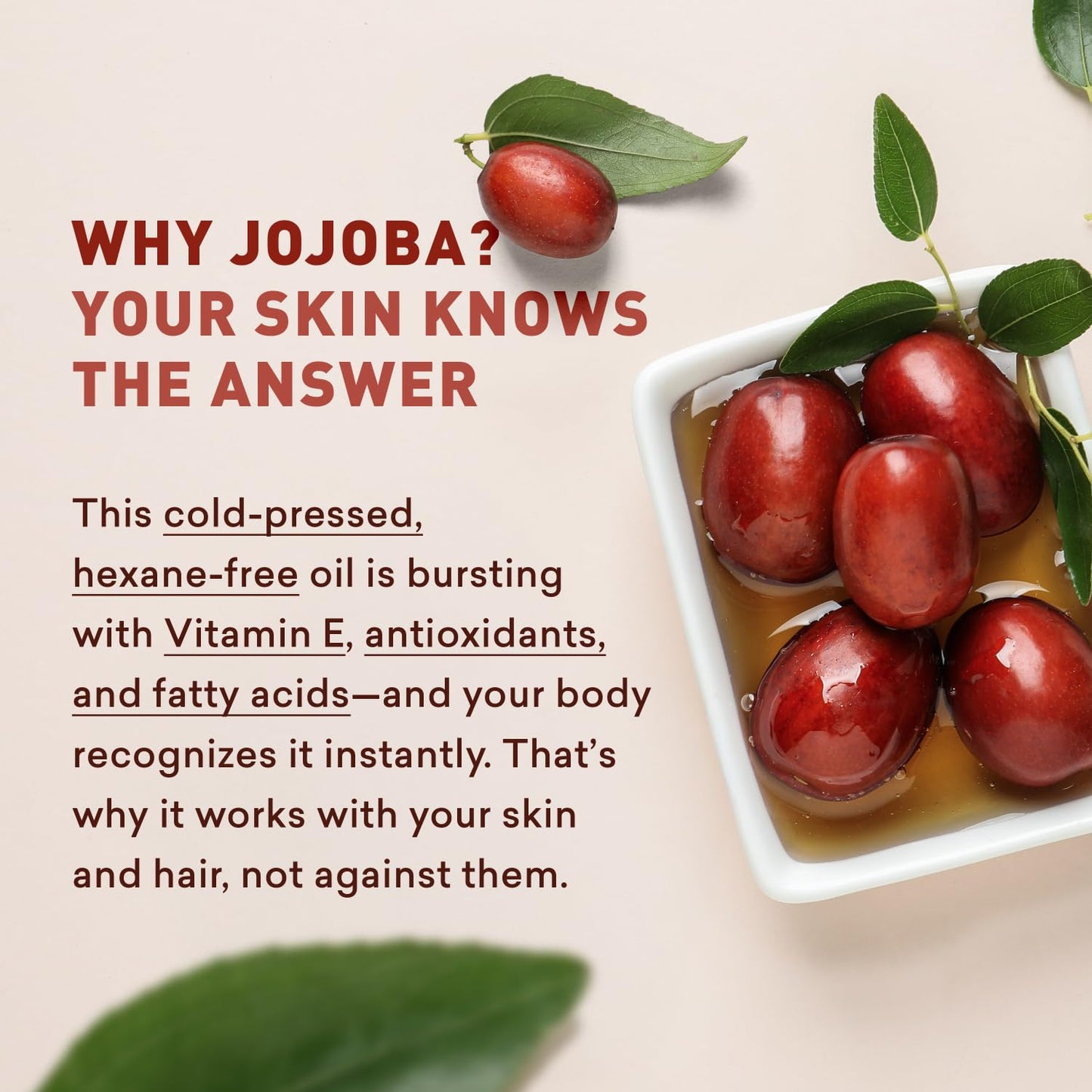 Just Nutritive Cold-Pressed Jojoba Oil – 100% Pure for Face, Hair, Beard & Scalp – Lightweight, Fast-Absorbing Moisturizer for Dry Skin, Acne & Wrinkles – Hexane-Free & Non-Greasy Carrier Oil