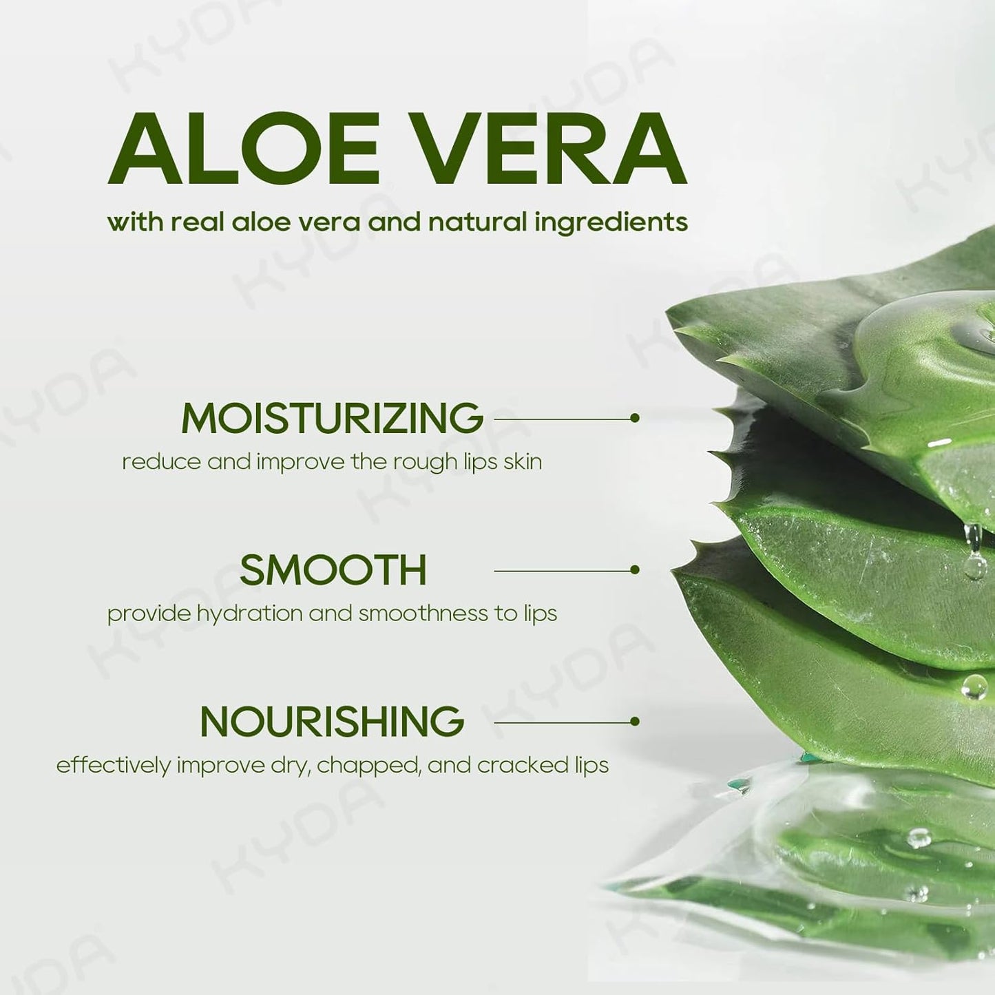Aloe Vera Lip Balm Set - Deep Hydrating Formula for Dry, Cracked Lips | 3 Pcs, Colorless Finish