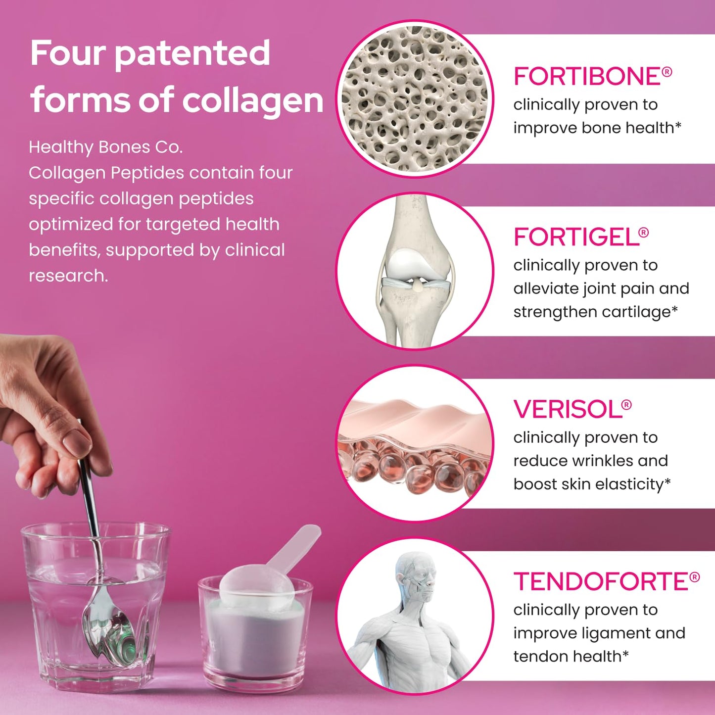 FORTIBONE® Premium Bone Health Collagen Peptides w/FORTIGEL®, VERISOL® & TENDOFORTE®, Clinically-Supported for Bones, Joints Skin Hair Nails, Hydrolyzed Collagen, Anti-Aging Formula (30 Servings)
