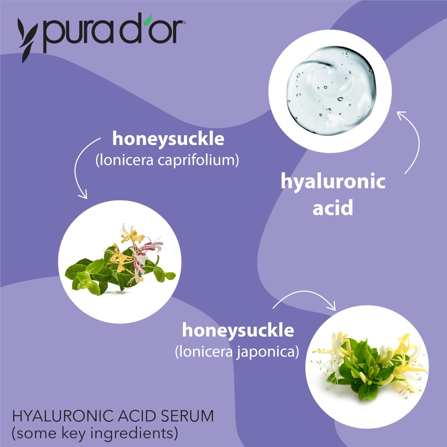 PURA D'OR 3.3 Oz Hyaluronic Acid Serum For Deep Hydration: Anti-Aging, Plumping & Moisturizing Formula For Ayurvedic Skin Care-Smooth, Supple Skin - Natural Boost - Fine Lines & Wrinkle Reducer