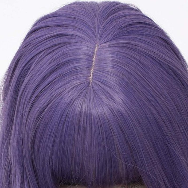 WGPFWIG Women's Purple Ombre Wig 27 Inches Long Curly Wavy Hair Wig Heat Resistant Fibers Synthetic Wig For Women Girl Cosplay Party Halloween Wig Cap Included (Purple Ombre)