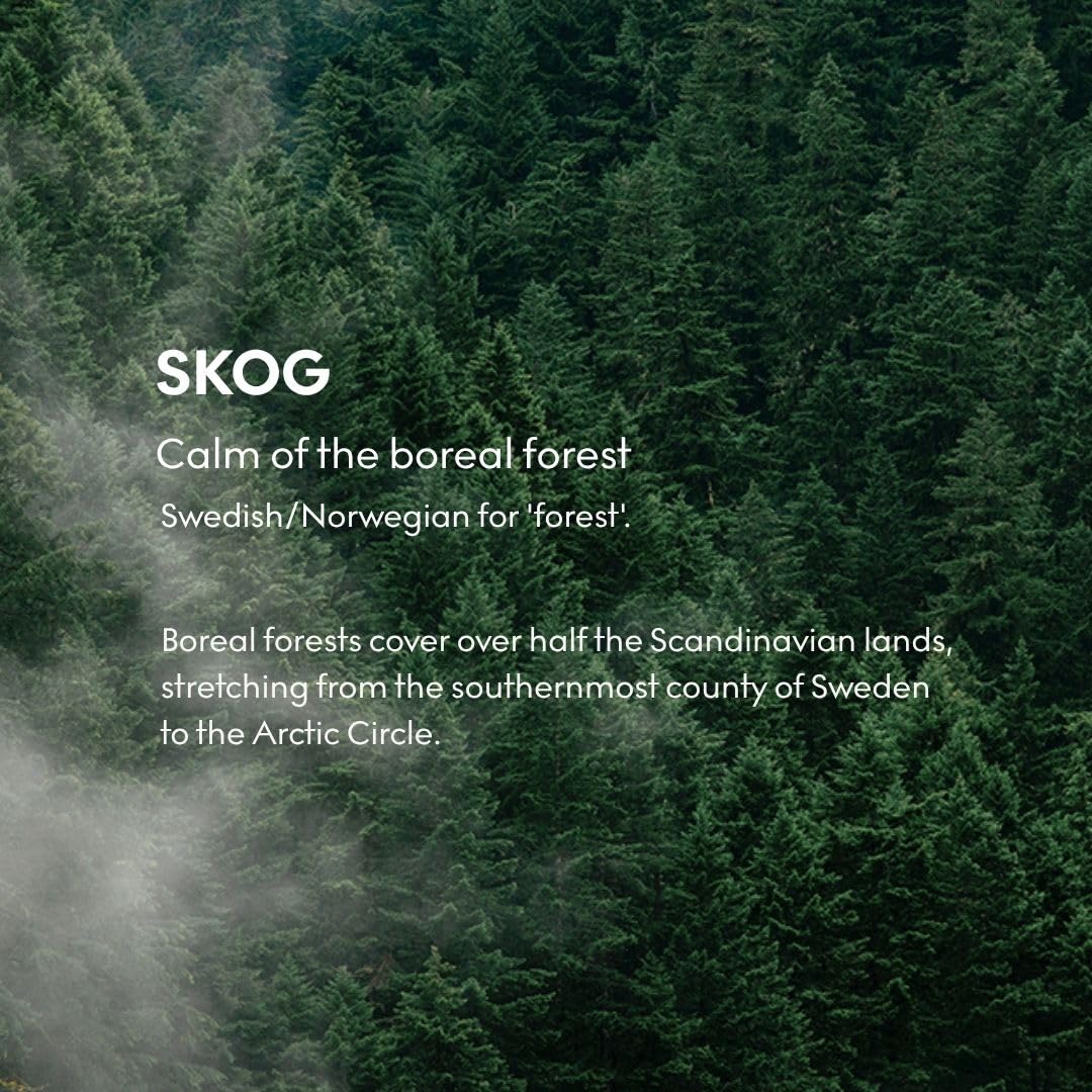 Skandinavisk Skog 'Forest' Scent Diffuser with 8 Reeds. Lasts +3 Months. Fragrance Notes: Pine Needles and Fir Cones, Birch Sap and Lily of The Valley. 6.75 fl. oz.