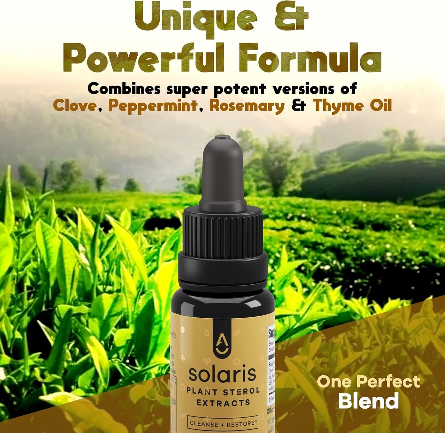 Activation Solaris Essential Oil, 15 ml | Thyme, Peppermint & Rosemary