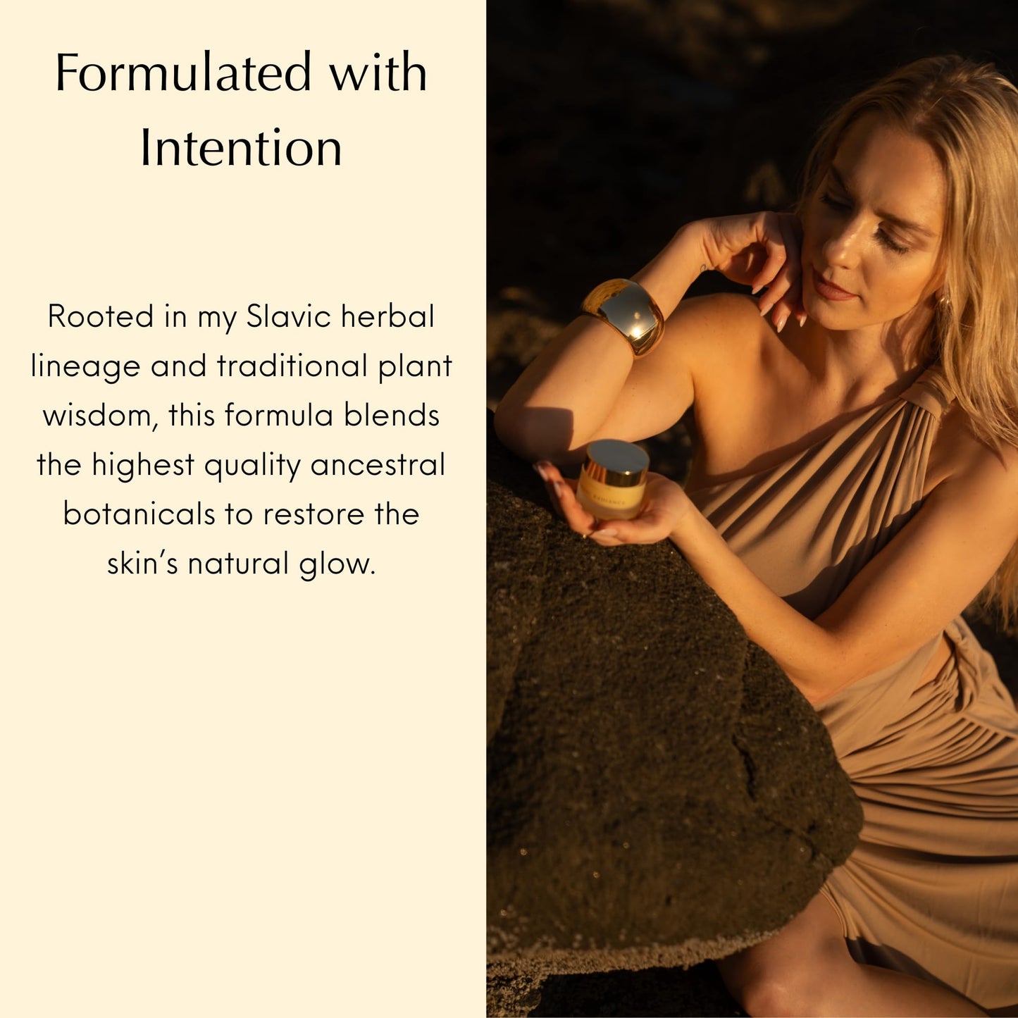 Rewild Co. Grass-Fed Tallow Night Cream with Bakuchiol – Natural Retinol Alternative Face Moisturizer & Anti-Aging Balm, Hydrating Skin Barrier Cream for Mature Sensitive Skin Eternal Radiance