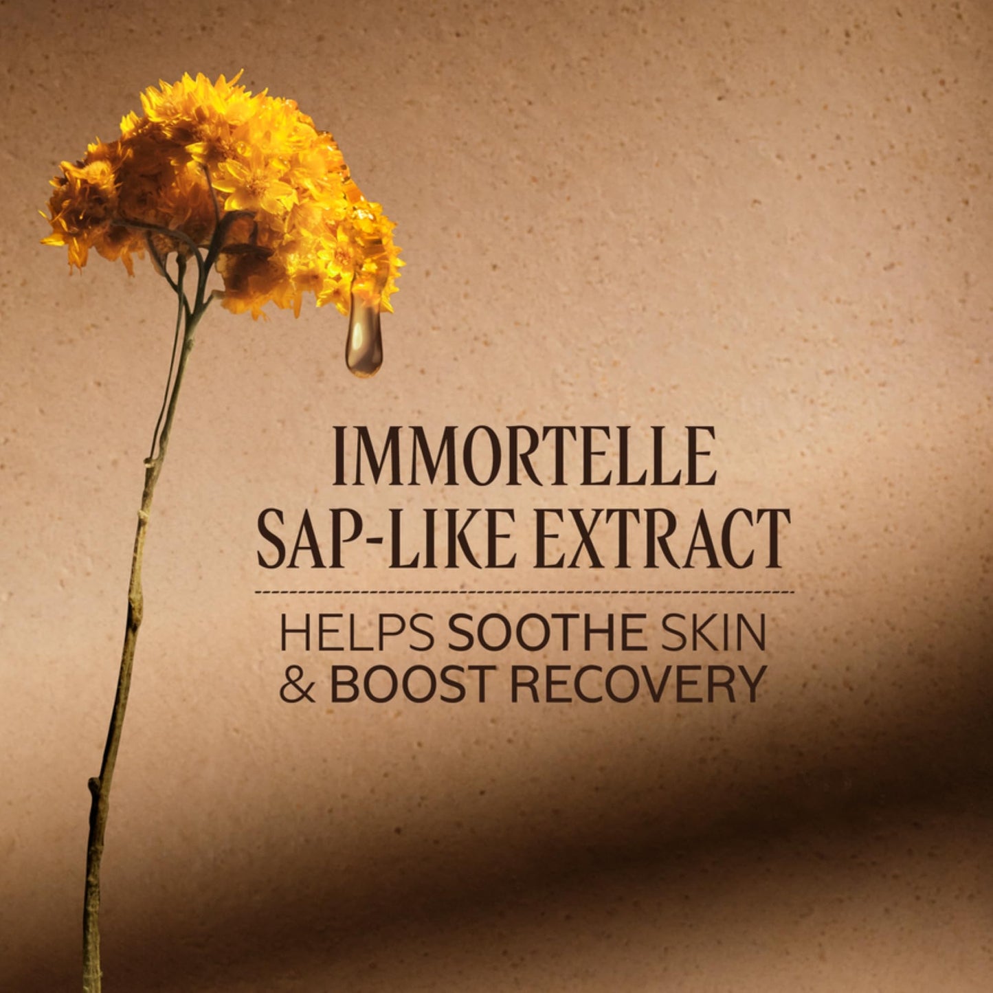 L'OCCITANE Immortelle Reset Triphase Essence 5.00 fl. oz