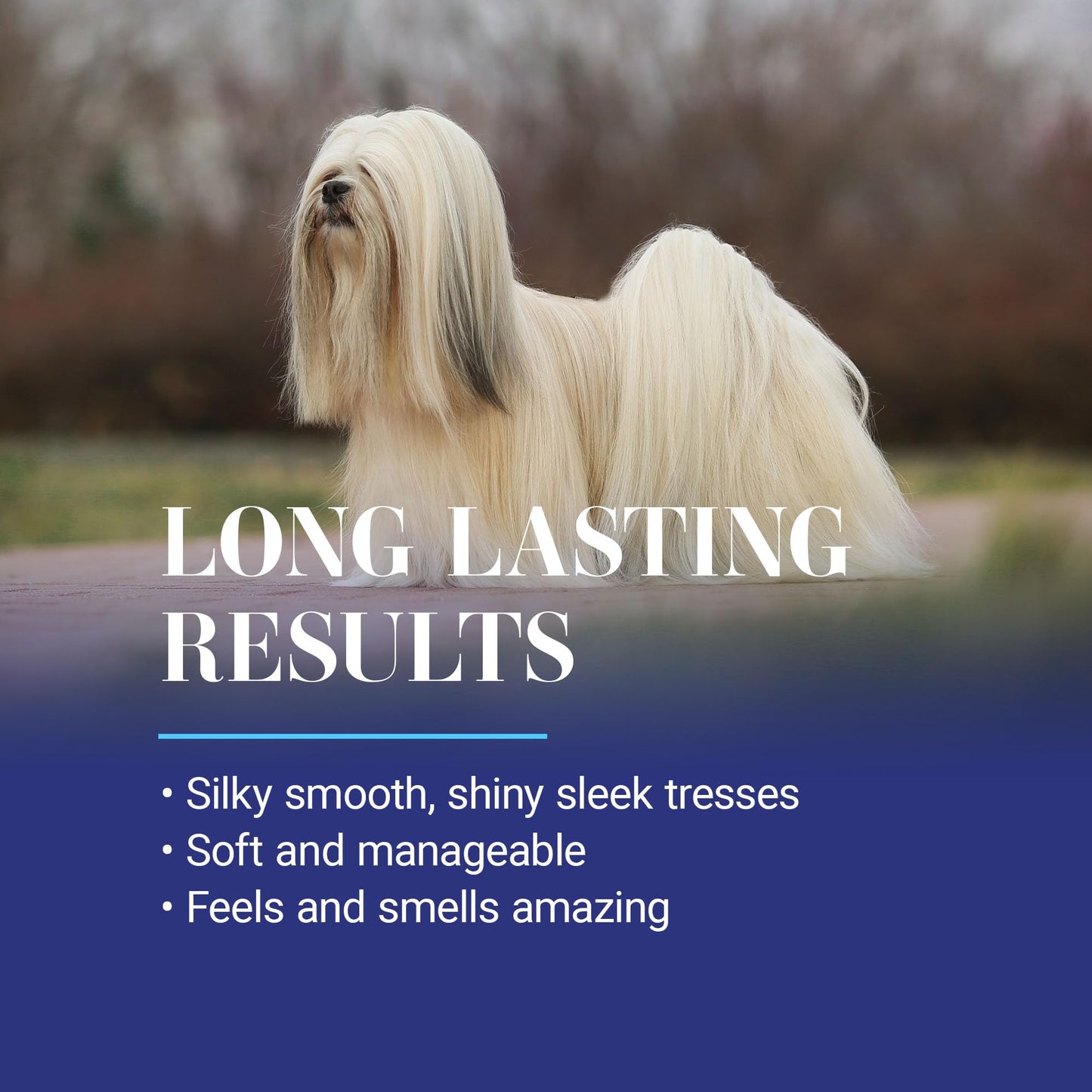 Chris Christensen Ice on Ice Strengthening Dog Shampoo, Groom Like Professional, Revives Dry, Damaged Coats & Strands, All Coat Types Made in USA 16oz