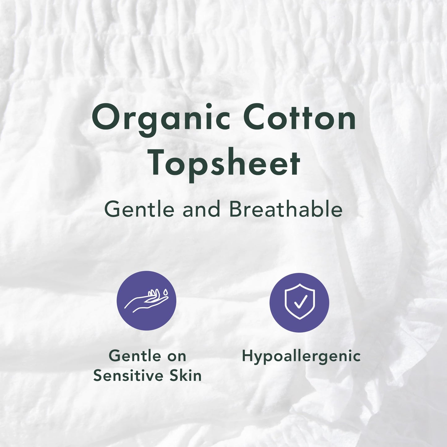 Rael Disposable Period Underwear, Organic Cotton Cover (Size S-M, 20 Ct)