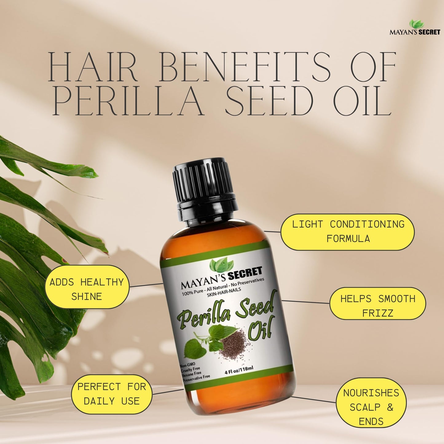 Perilla Seed Oil Omega-3 Essential Fatty Acid and Alpha-linolenic Acid for Skin