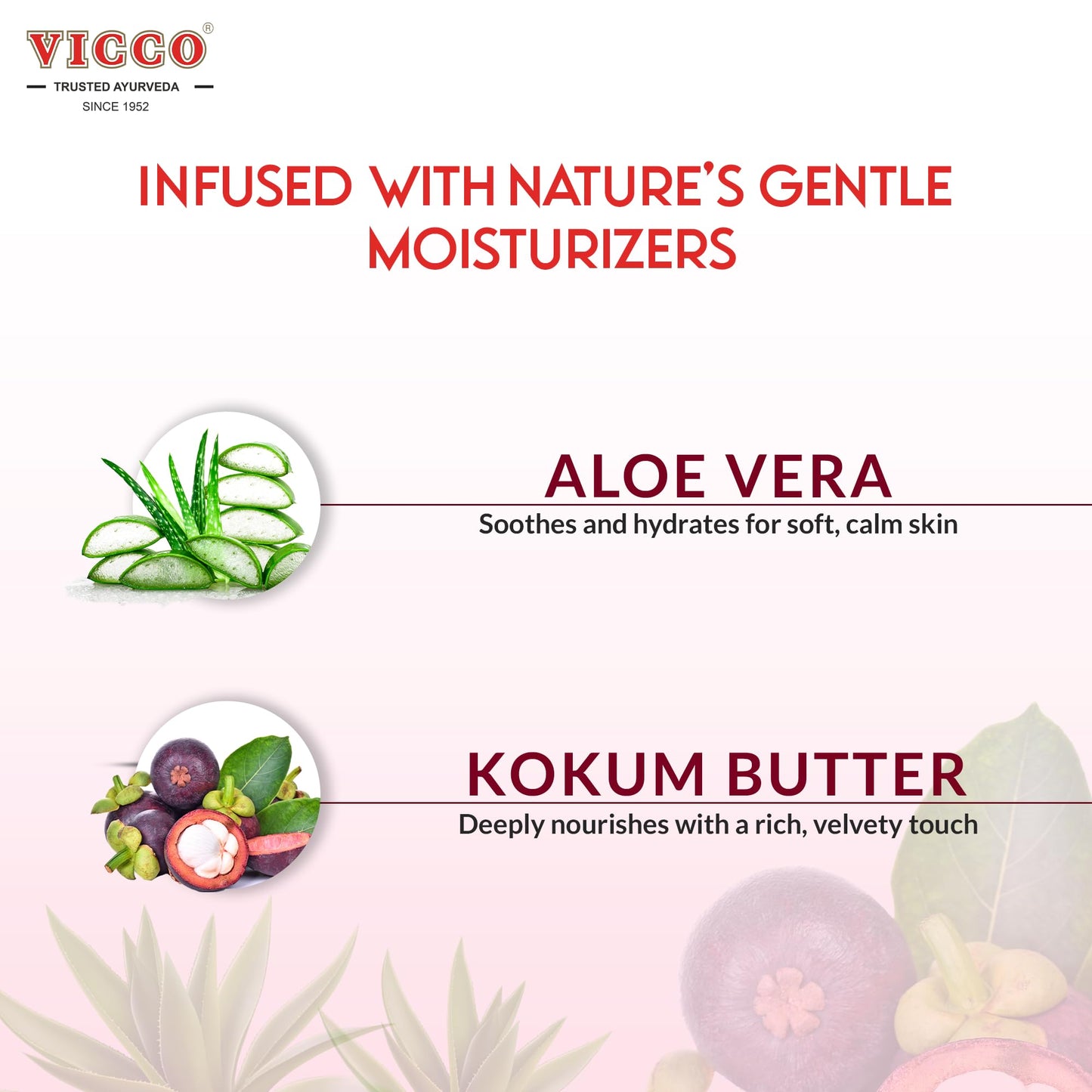 Vicco Aloe Vera and Mangosteen (kokum butter) Lotion for Body, Hands & Face, Soft-Absorbing Texture, 6.76 Fl Oz (Pack of 1)