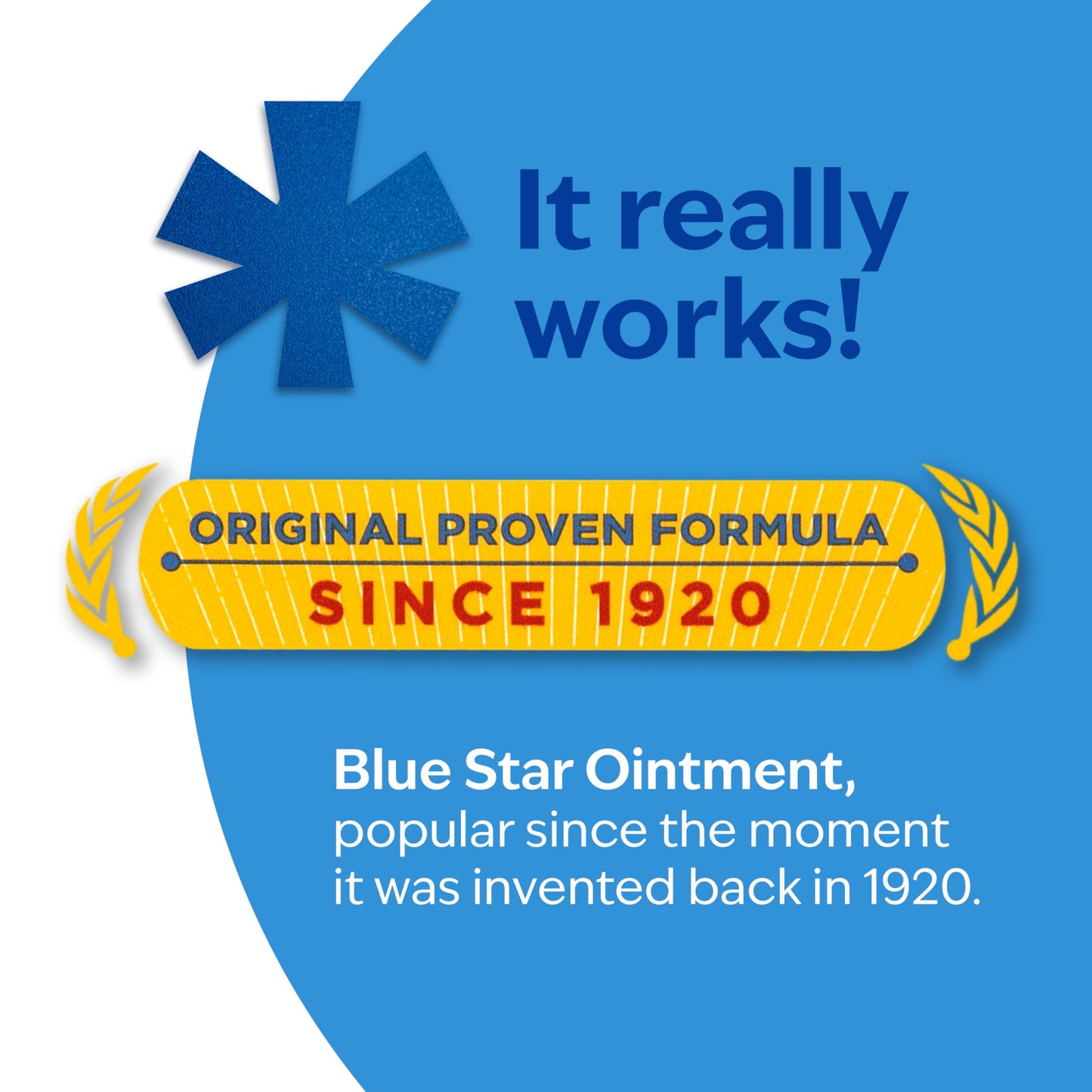 Blue Star Anti-Itch Medicated Ointment, Fast-Acting Relief for Dry, Itchy Skin, Rashes, Ringworm, Dry Cracked Heels & More, Hydrocortisone-Free & Steroid-Free, 2 OZ