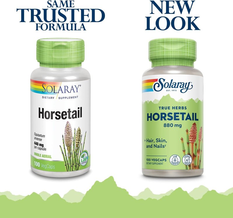 Horsetail Supplement - 880 mg Natural Silica Capsules for Overall Health | 100 Vegan Capsules