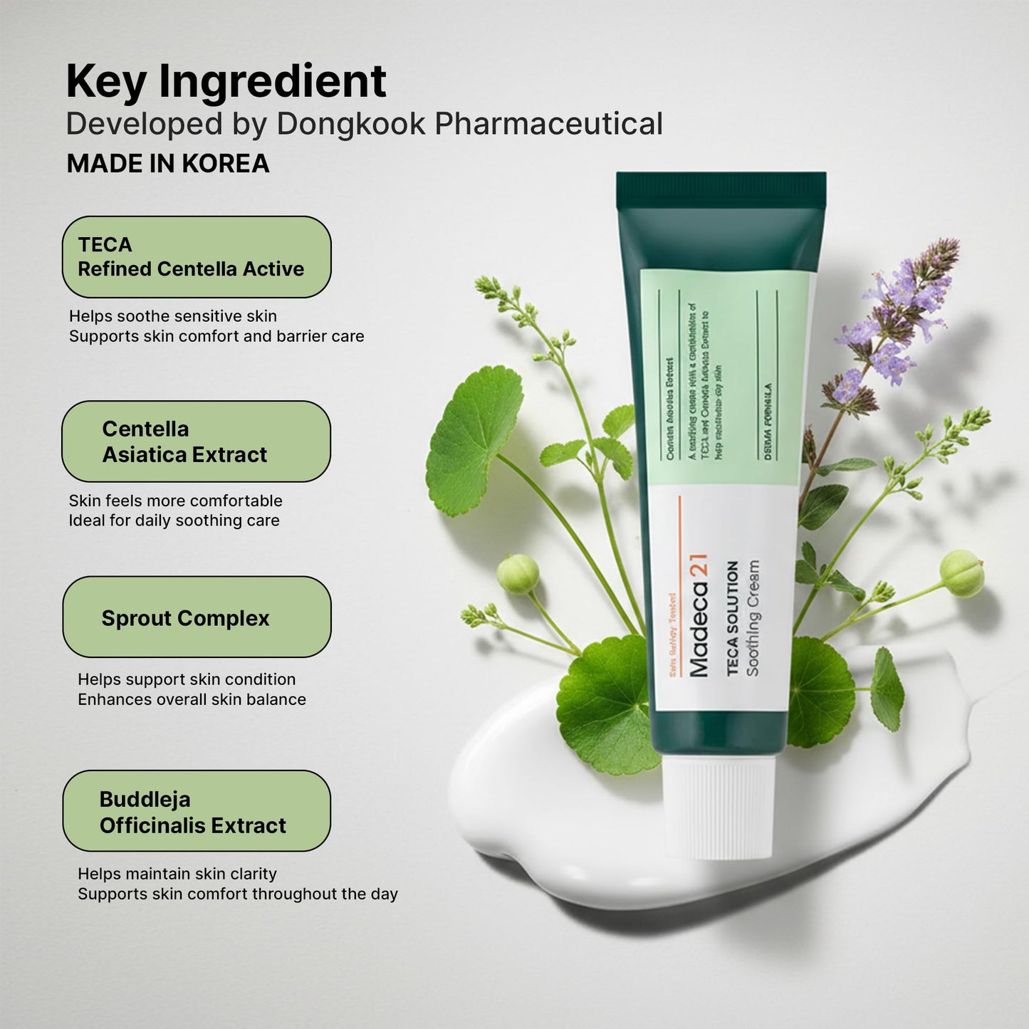 TECA Madecassoside Centella Asiatica Cream (1.69fl oz) –Korean Skin Care Cica Soothing Moisturizer for Sensitive Skin, Redness Relief & Barrier Repair, Lightweight Daily Hydrating Face Cream (2 Pack)