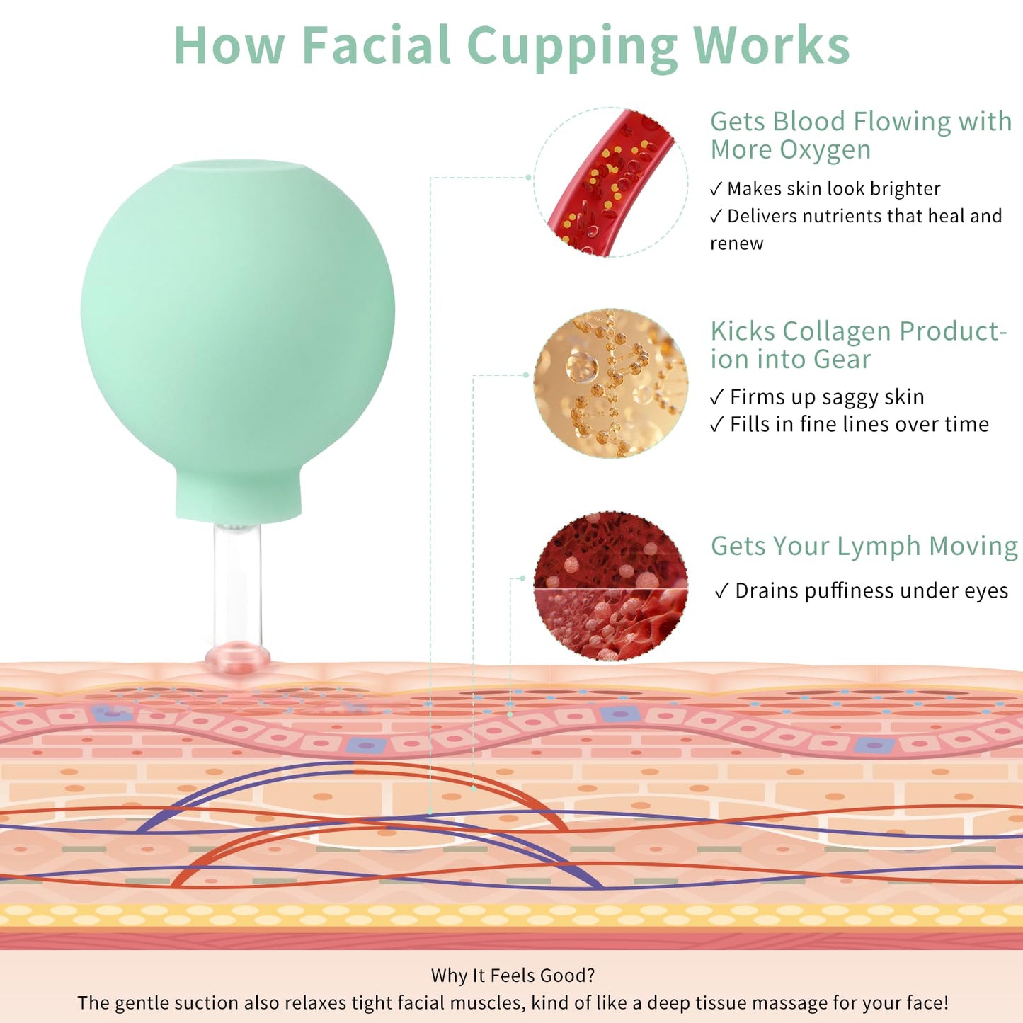 Meifuly Facial Cupping Set, 4 PCS Silicone Vacuum Suction Face Massage Cups, Skin Tightening Kit for Eyes, Face and Body (Green)