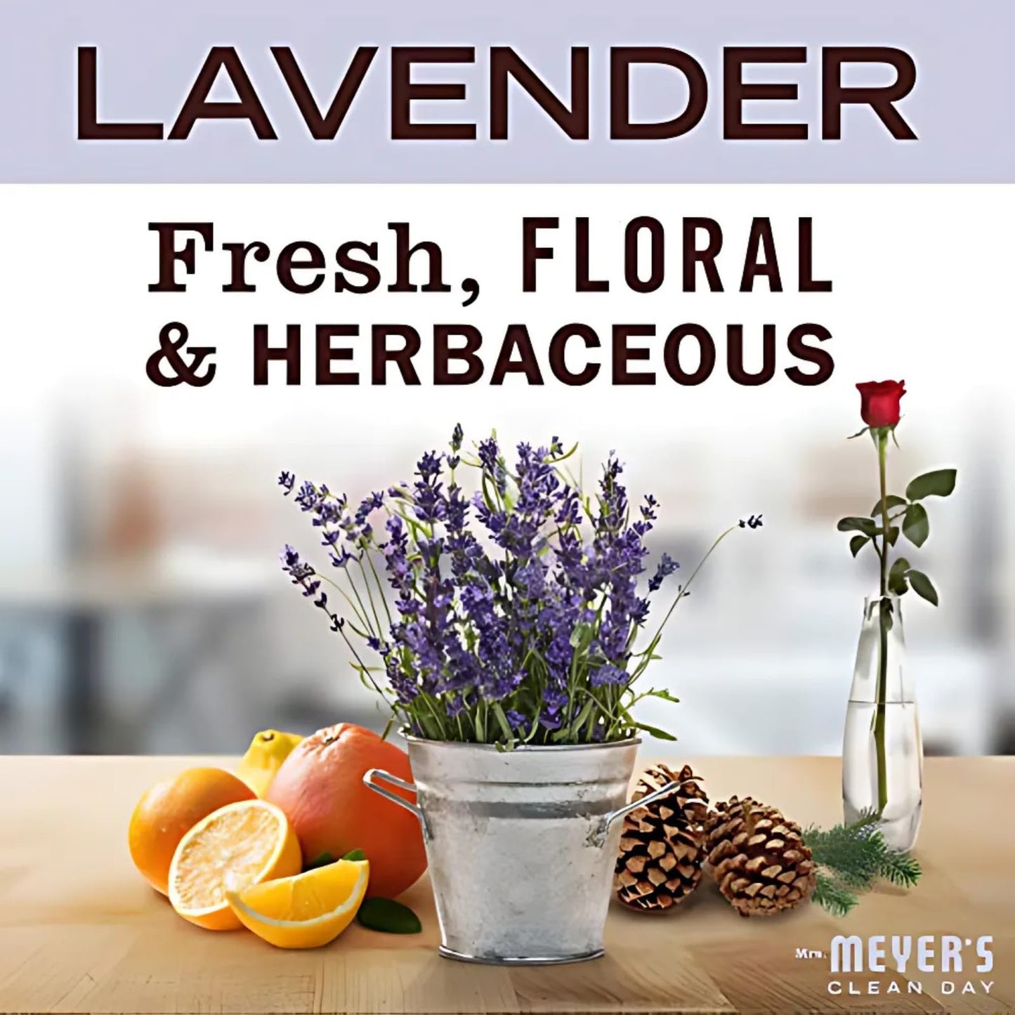 Mrs. MEYER'S Clean Day Variety Pack, Liquid Hand Soap Rosemary 12.5 OZ, Foaming Hand Soap Lavender 10 OZ, 1 CT