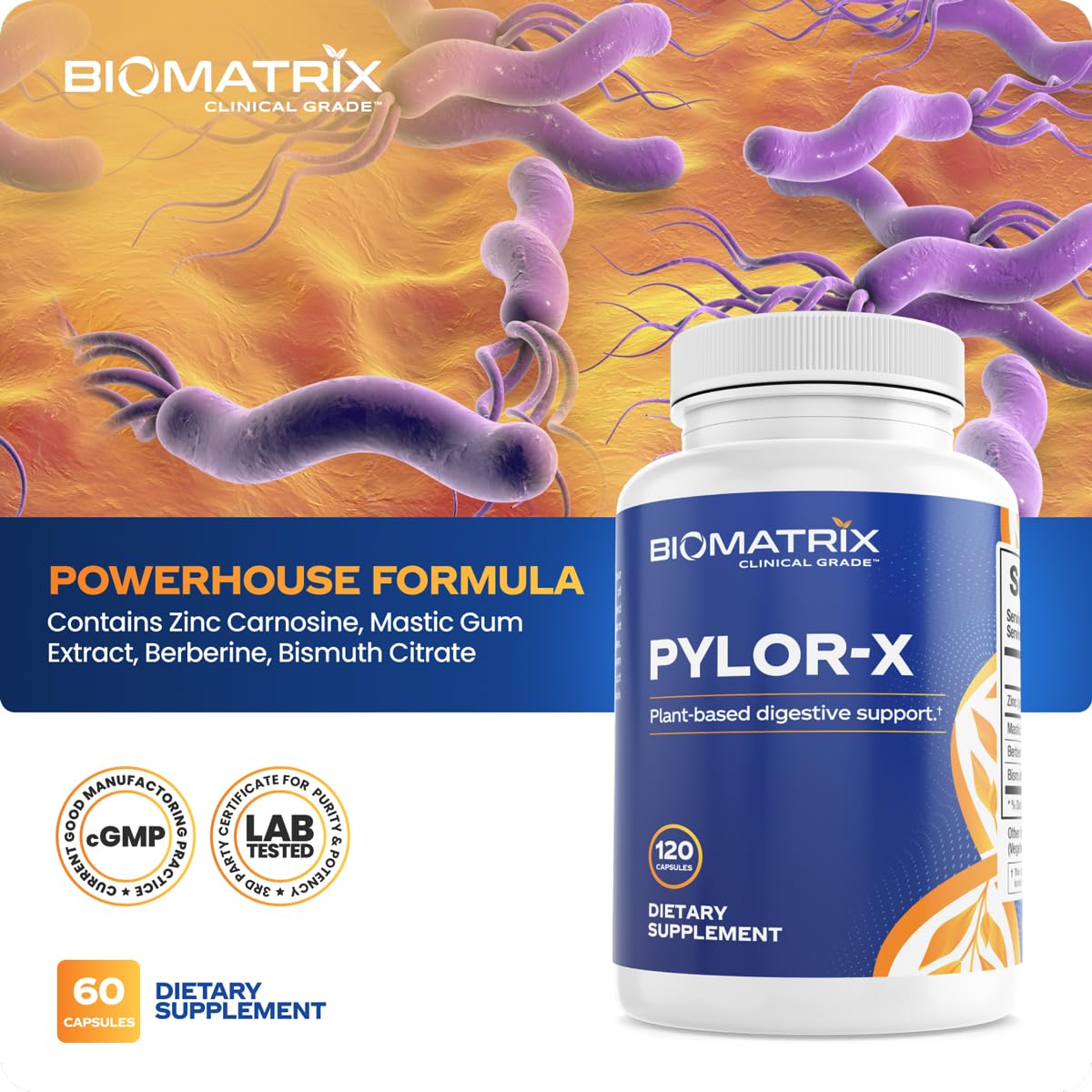 BioMatrix H Pylori Supplement, Mastic Gum, Berberine, Zinc Carnosine & Bismuth Salts, Probiotic Alternative, Gut Formula, 120 Capsules, 30-60 Day Supply